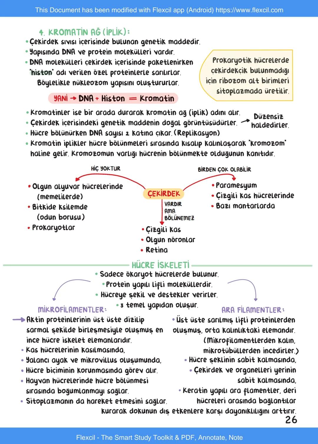 This Document has been modified with Flexcil app (Android) https://www.flexcil.com
# BİYOLOJİ
## İÇİNDEKİLER
Canlıların Ortak Özellikleri