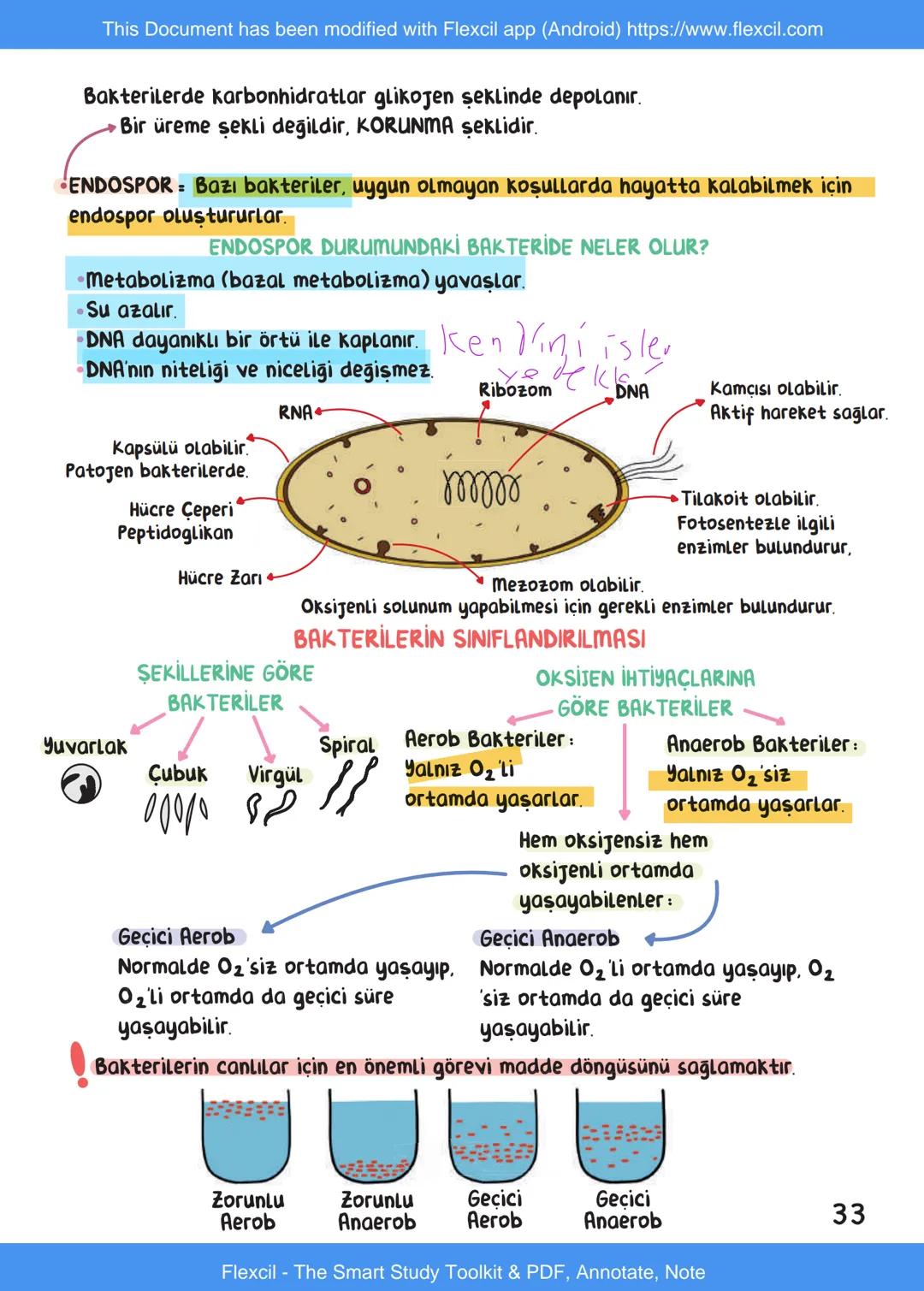 This Document has been modified with Flexcil app (Android) https://www.flexcil.com
# BİYOLOJİ
## İÇİNDEKİLER
Canlıların Ortak Özellikleri