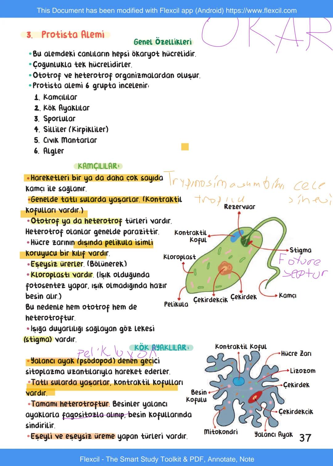 This Document has been modified with Flexcil app (Android) https://www.flexcil.com
# BİYOLOJİ
## İÇİNDEKİLER
Canlıların Ortak Özellikleri