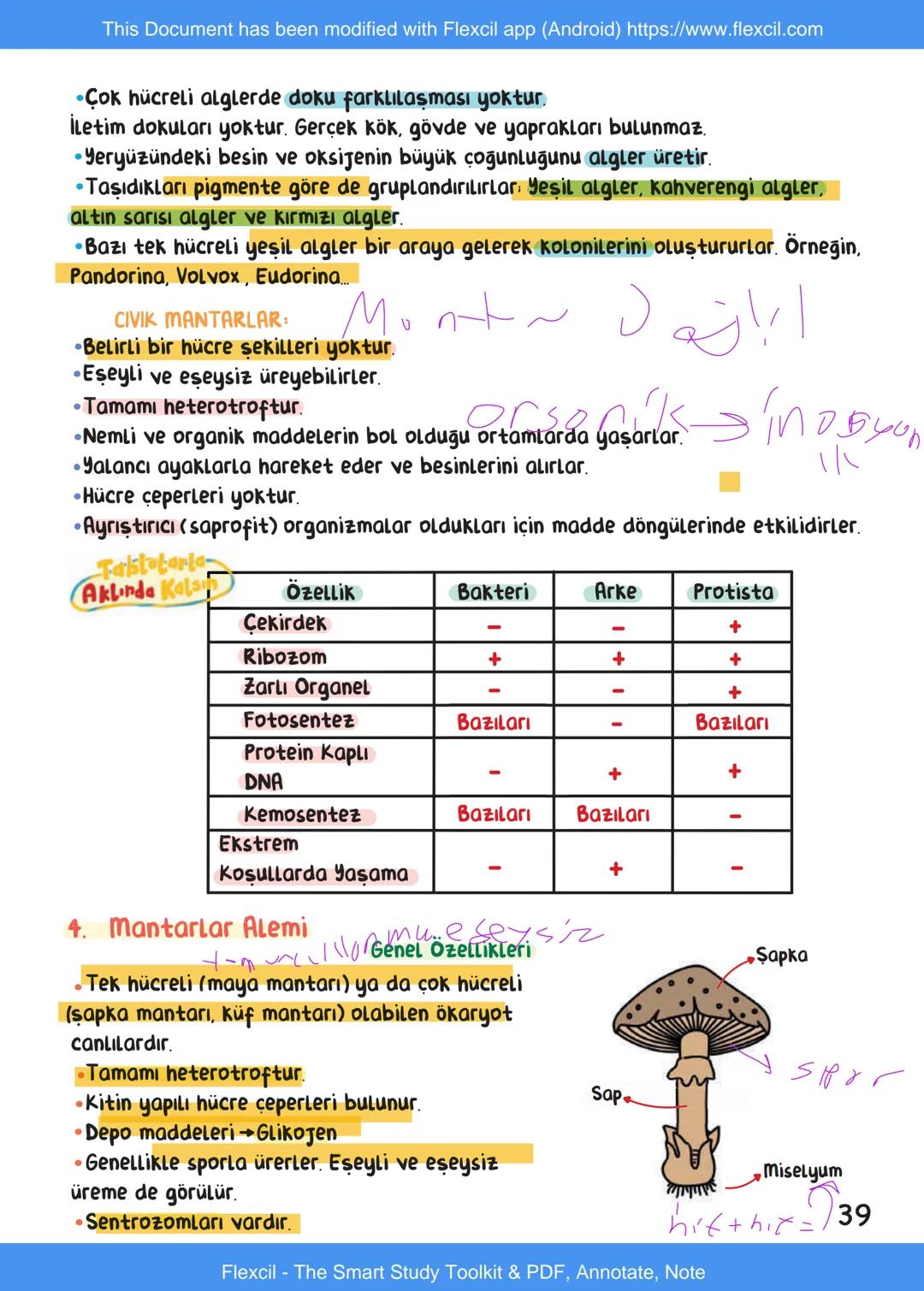 This Document has been modified with Flexcil app (Android) https://www.flexcil.com
# BİYOLOJİ
## İÇİNDEKİLER
Canlıların Ortak Özellikleri