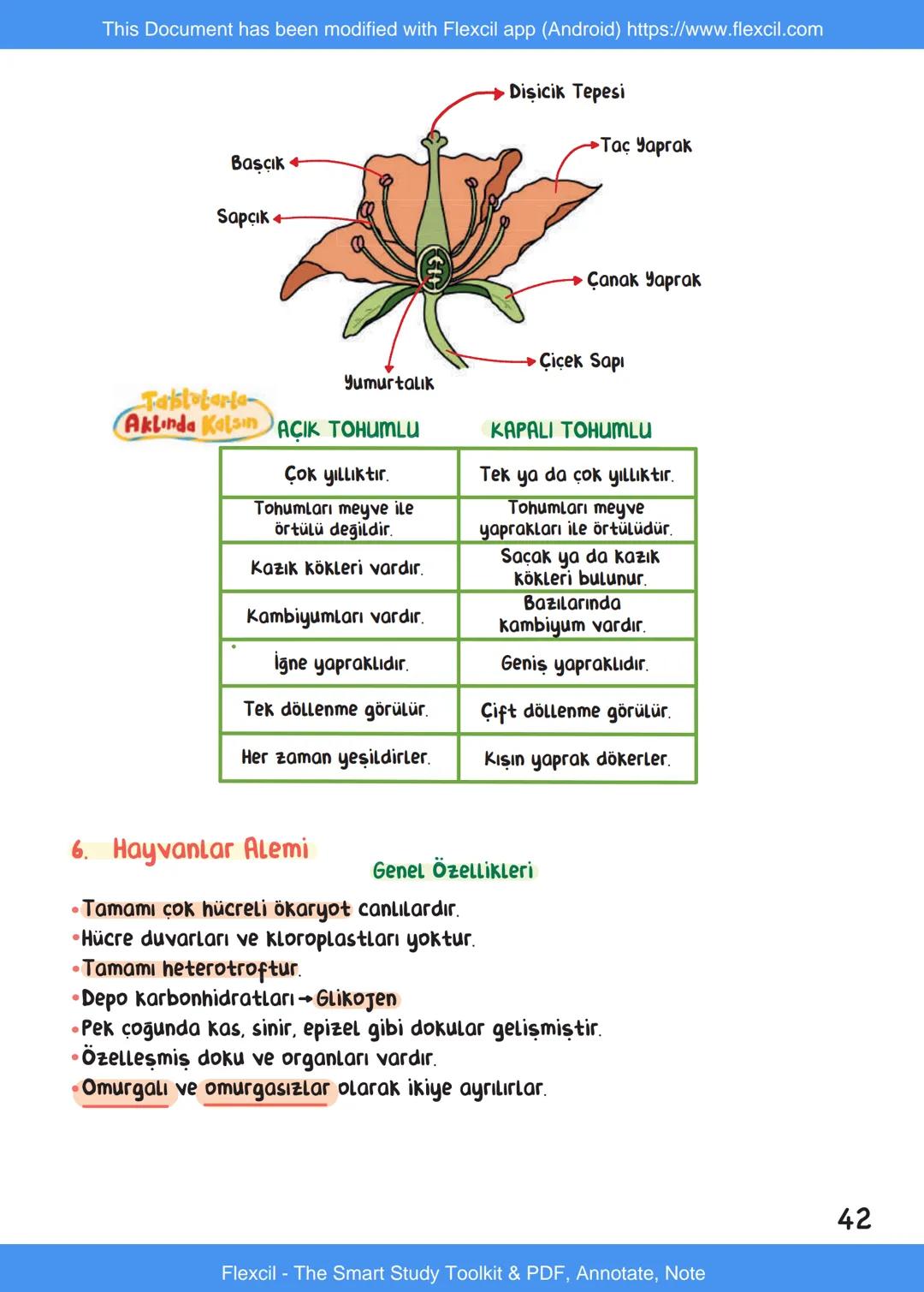This Document has been modified with Flexcil app (Android) https://www.flexcil.com
# BİYOLOJİ
## İÇİNDEKİLER
Canlıların Ortak Özellikleri