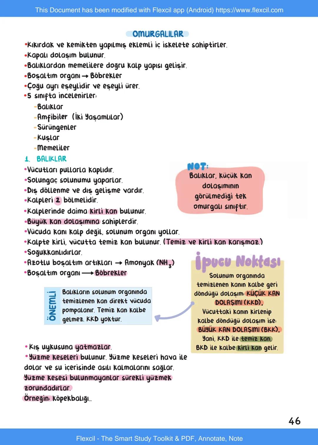 This Document has been modified with Flexcil app (Android) https://www.flexcil.com
# BİYOLOJİ
## İÇİNDEKİLER
Canlıların Ortak Özellikleri