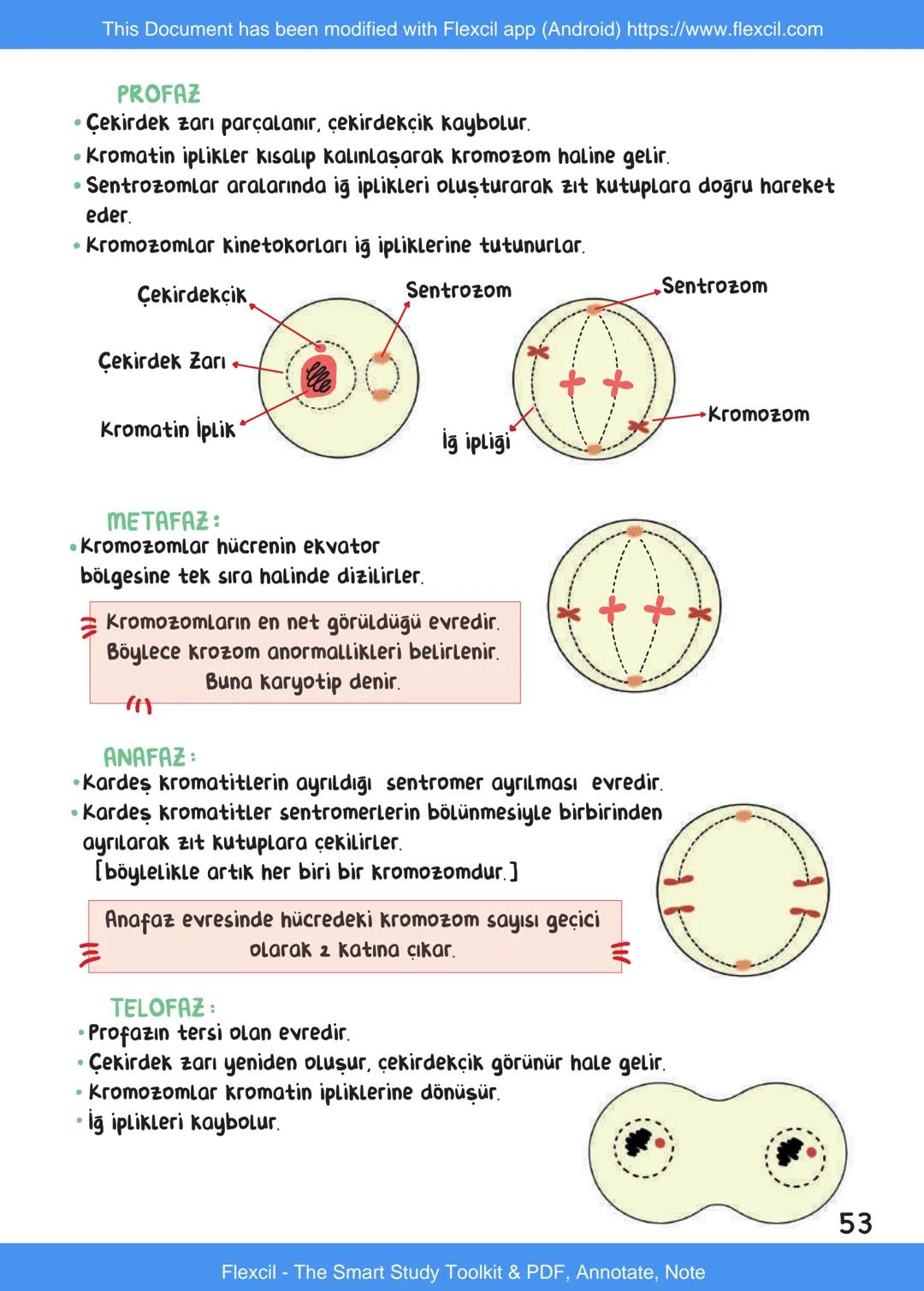 This Document has been modified with Flexcil app (Android) https://www.flexcil.com
# BİYOLOJİ
## İÇİNDEKİLER
Canlıların Ortak Özellikleri