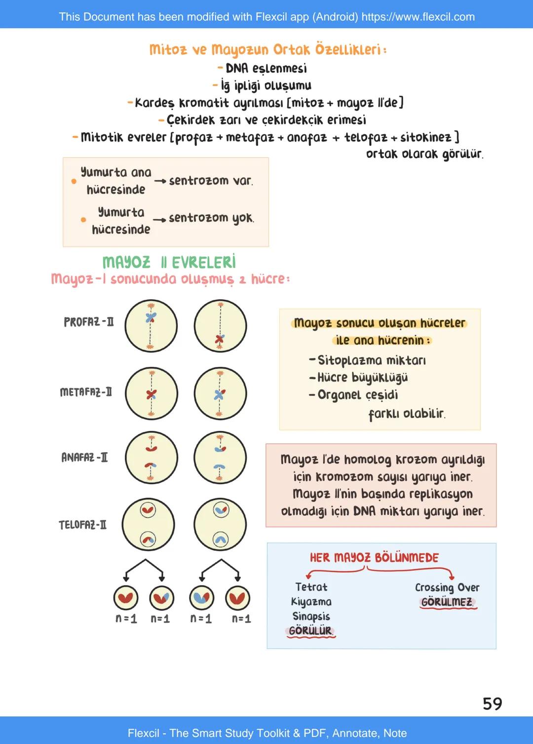 This Document has been modified with Flexcil app (Android) https://www.flexcil.com
# BİYOLOJİ
## İÇİNDEKİLER
Canlıların Ortak Özellikleri