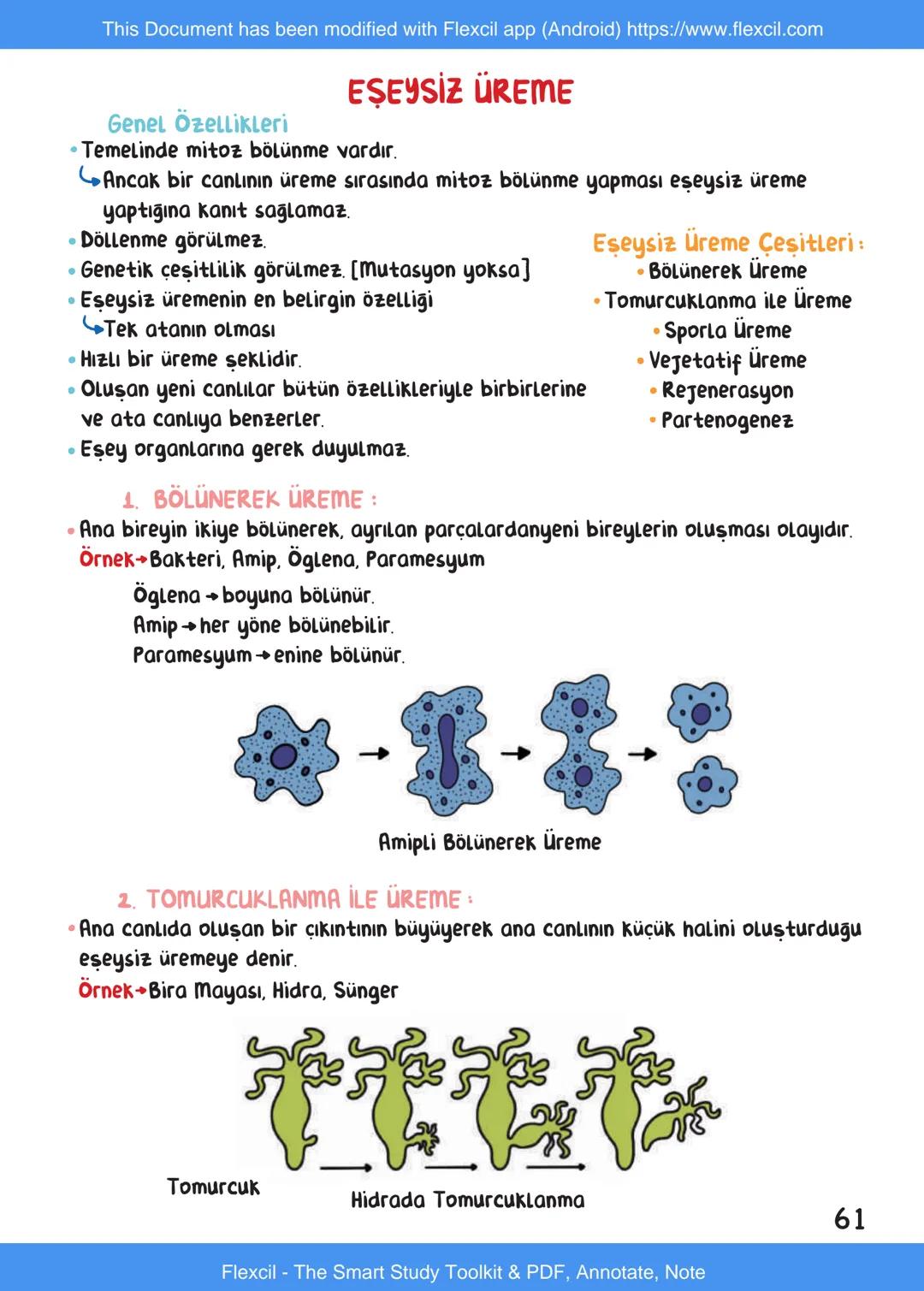 This Document has been modified with Flexcil app (Android) https://www.flexcil.com
# BİYOLOJİ
## İÇİNDEKİLER
Canlıların Ortak Özellikleri