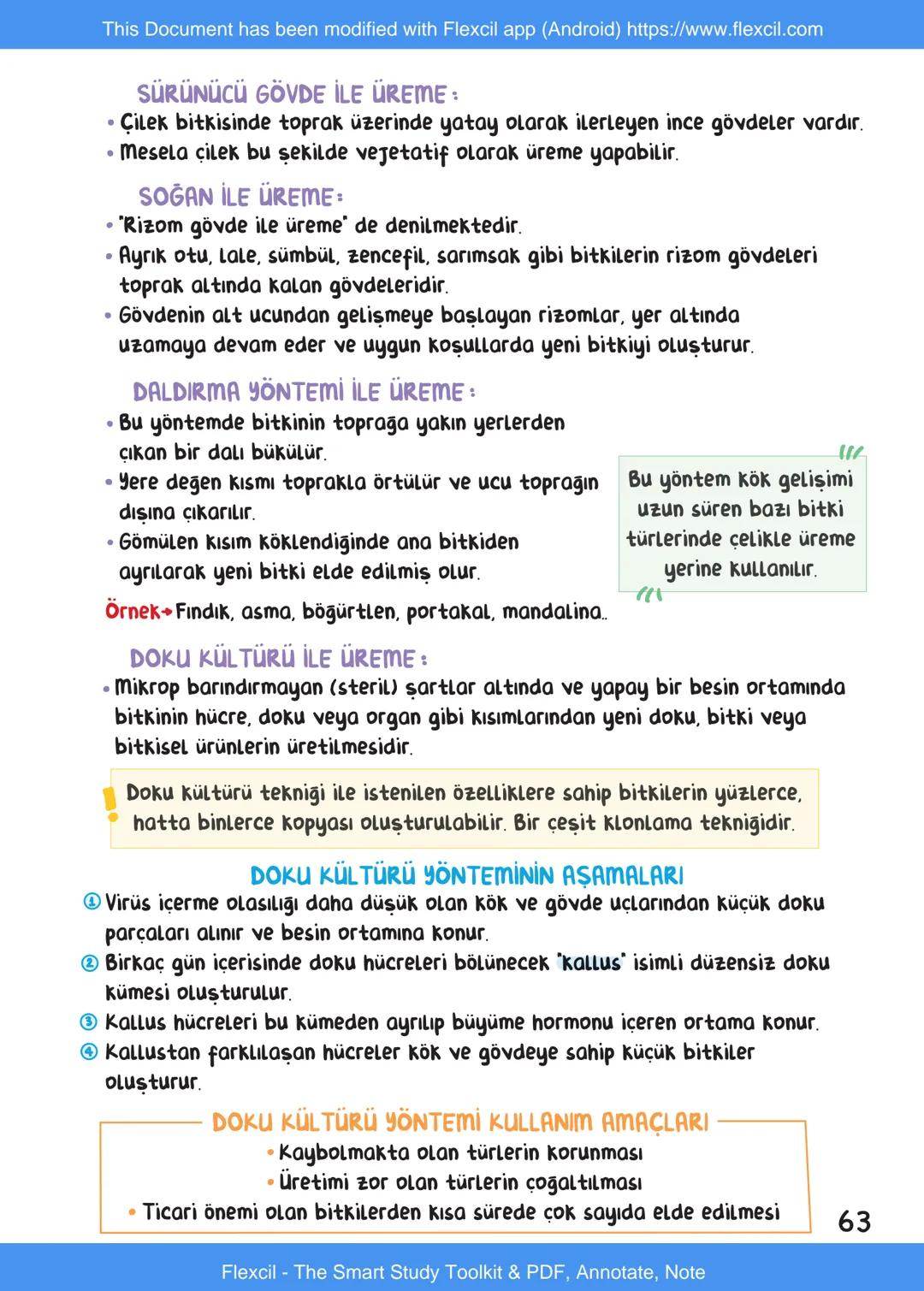 This Document has been modified with Flexcil app (Android) https://www.flexcil.com
# BİYOLOJİ
## İÇİNDEKİLER
Canlıların Ortak Özellikleri