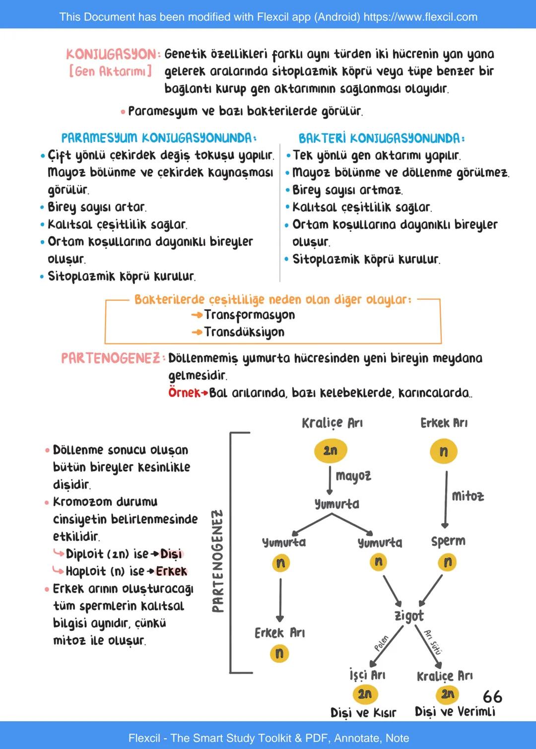 This Document has been modified with Flexcil app (Android) https://www.flexcil.com
# BİYOLOJİ
## İÇİNDEKİLER
Canlıların Ortak Özellikleri