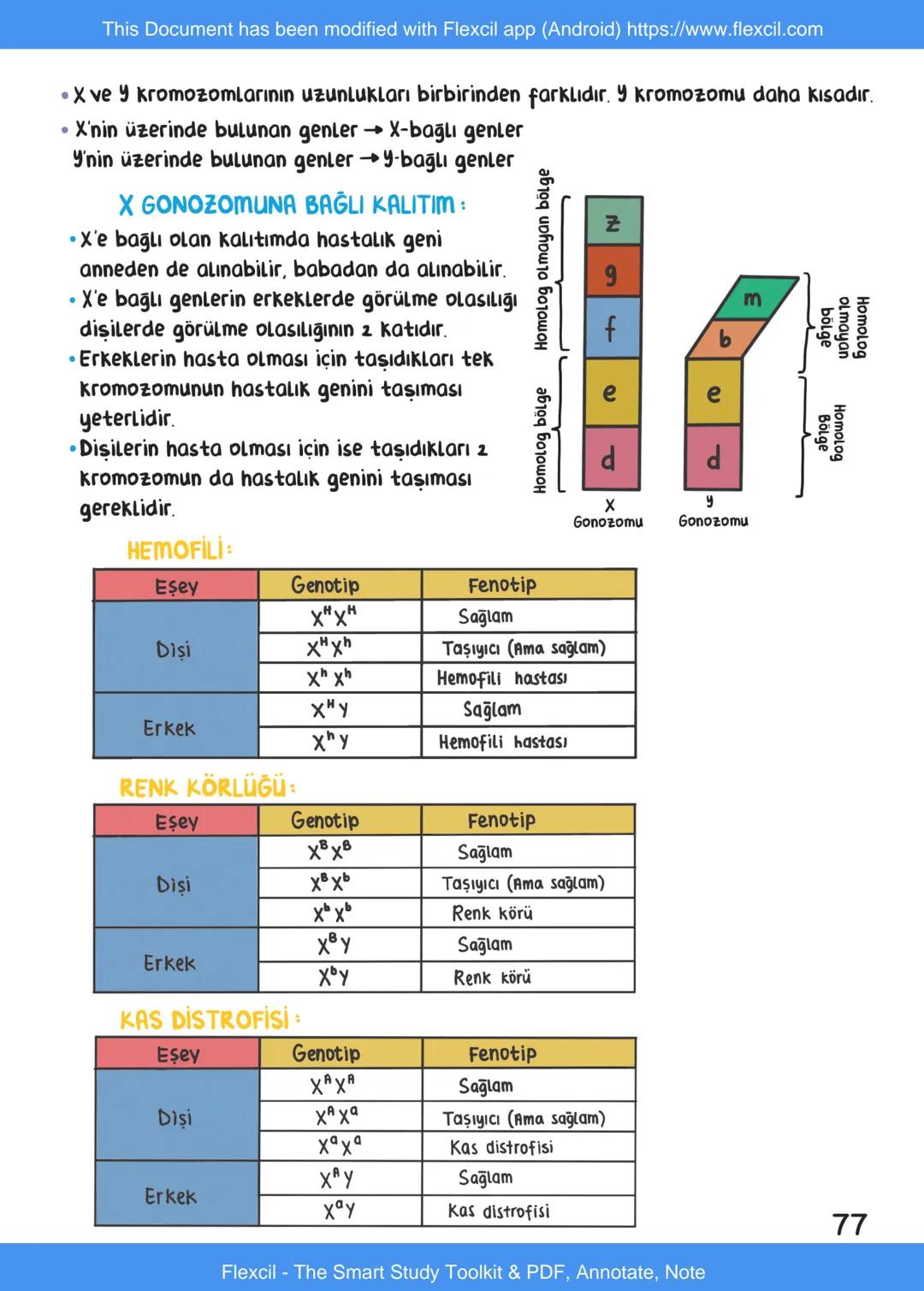 This Document has been modified with Flexcil app (Android) https://www.flexcil.com
# BİYOLOJİ
## İÇİNDEKİLER
Canlıların Ortak Özellikleri