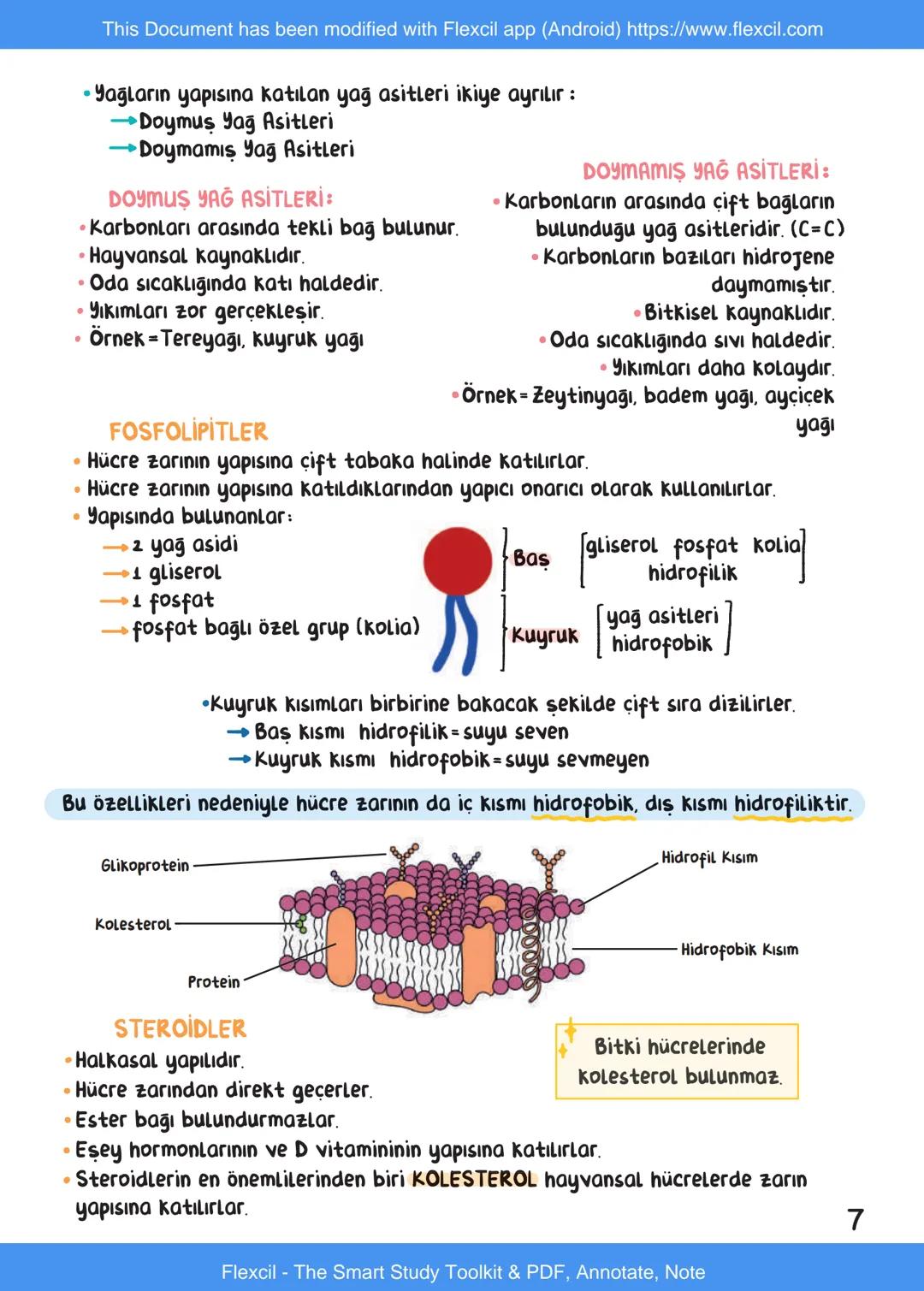 This Document has been modified with Flexcil app (Android) https://www.flexcil.com
# BİYOLOJİ
## İÇİNDEKİLER
Canlıların Ortak Özellikleri