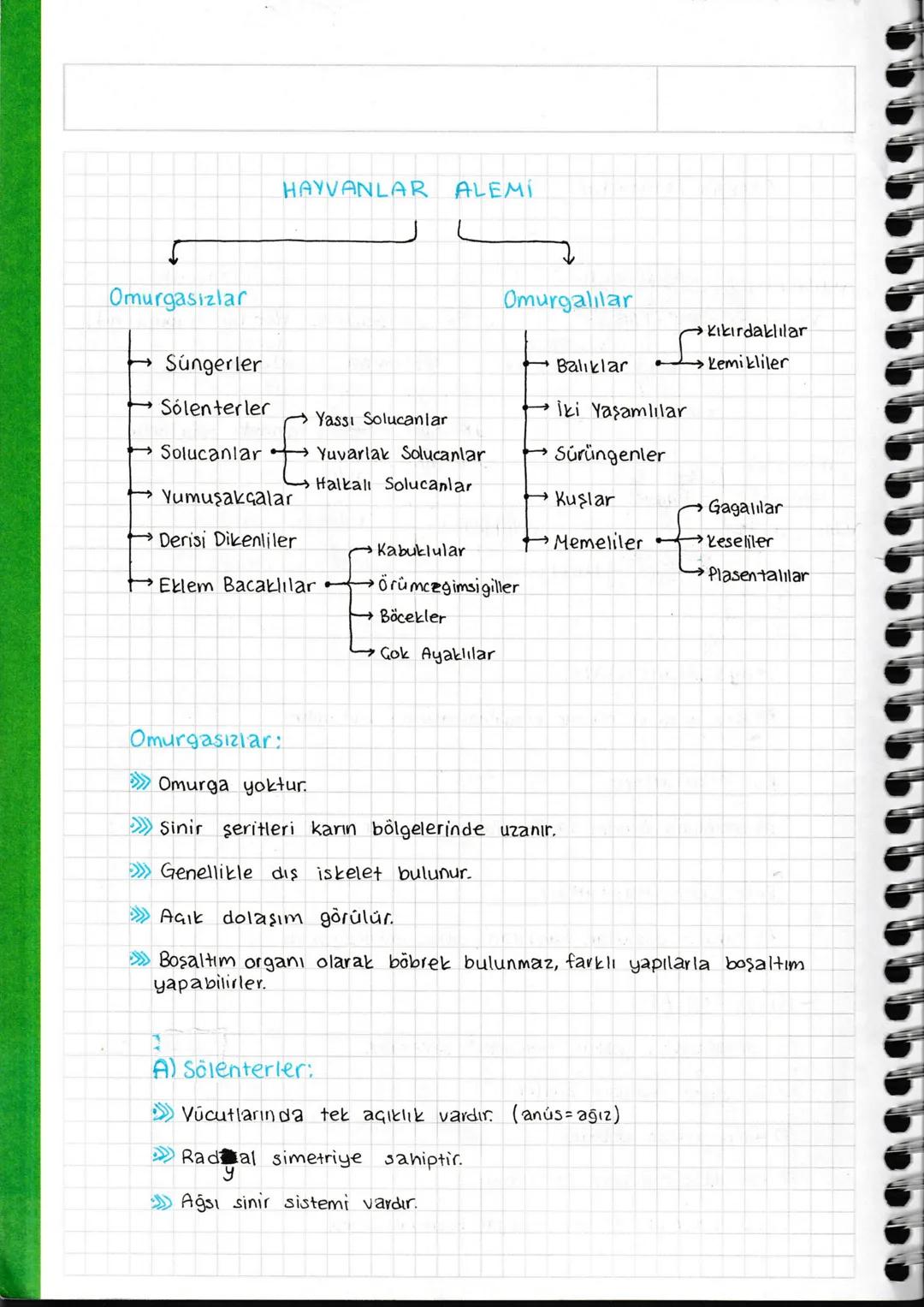 Biyoloji | 9. Sınıf | Canlıların Sınıflandırılması | Sınıflandırmada Domain | Hayvanlar