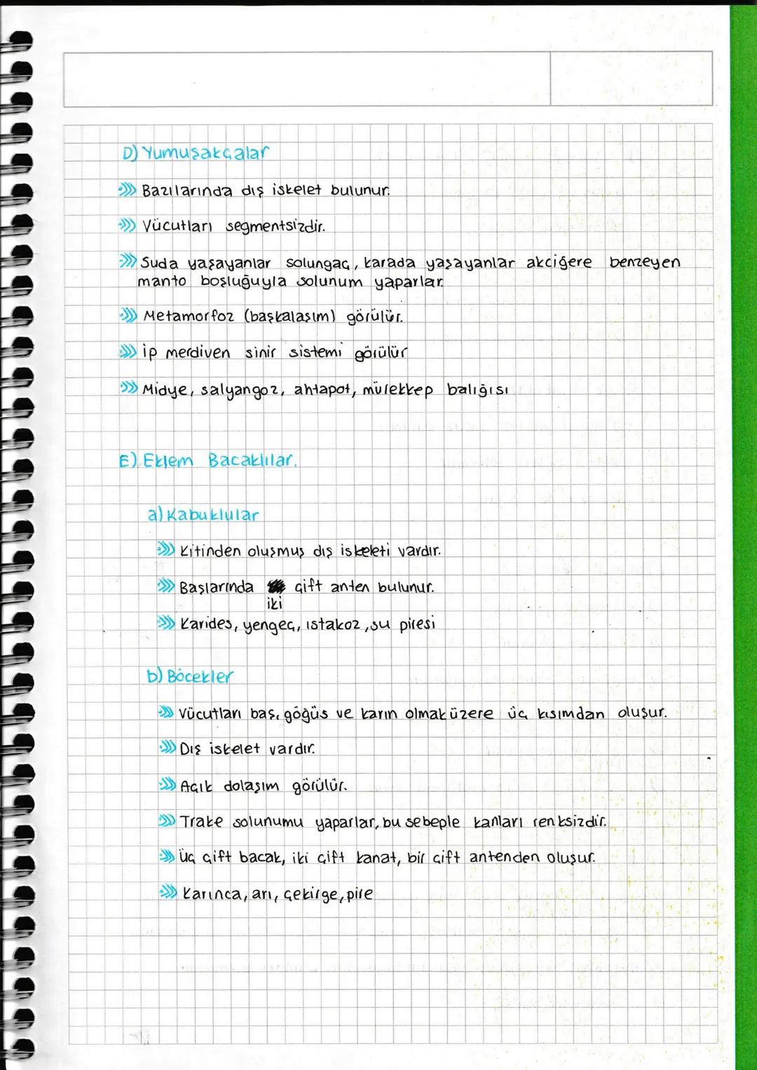 HAYVANLAR ALEMI
Omurgasızlar Omurgalılar
Kıkırdaklılar
Süngerler Balıklar Kemikliler
Sólenterler Yassı Solucanlar İki Yaşamlılar
Solucan