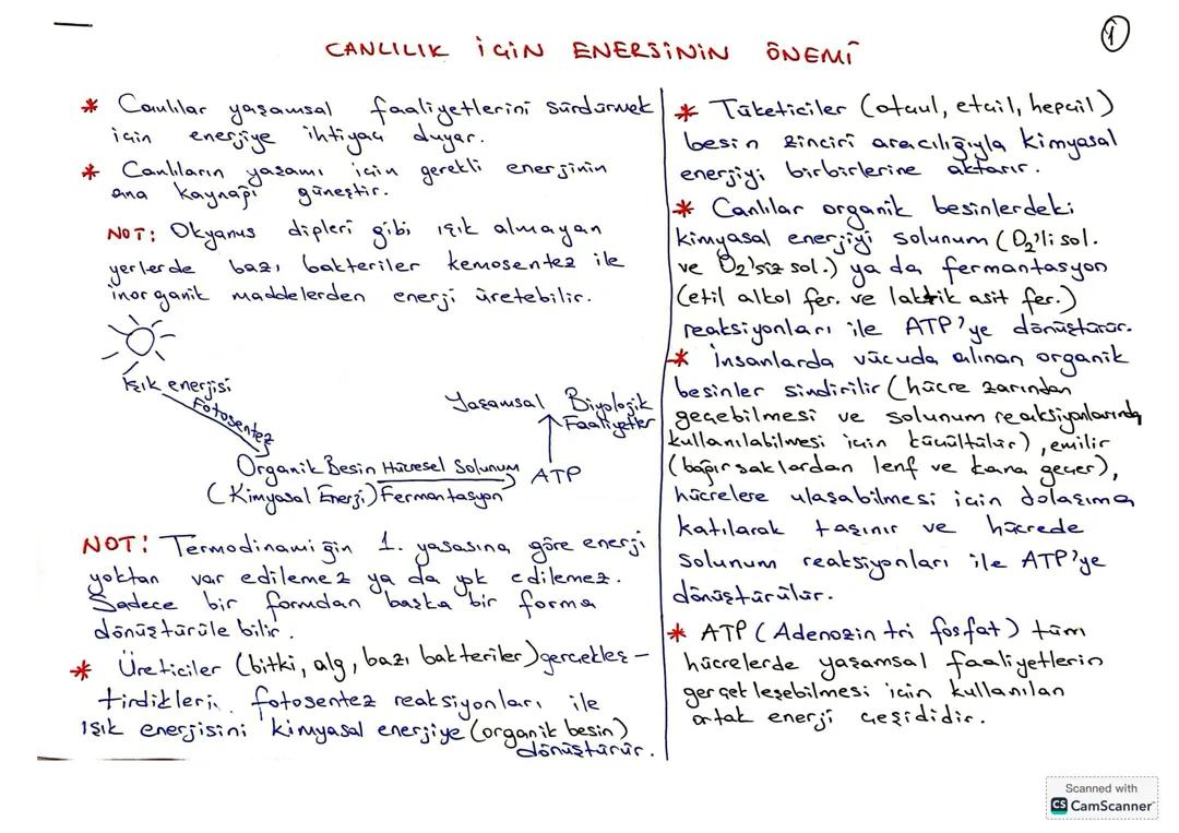 10. Sınıf biyoloji 2025-2026 yeni müfredat