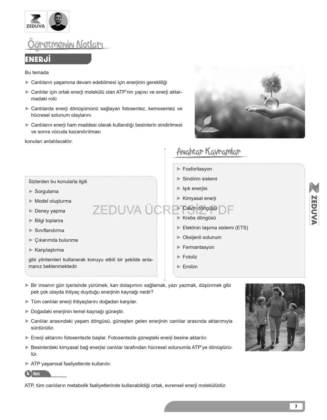 ZEDUVA
Öğretmenin Notları
ENERJİ
Bu temada
► Canlıların yaşamına devam edebilmesi için enerjinin gerekliliği
► Canlılar için ortak ener