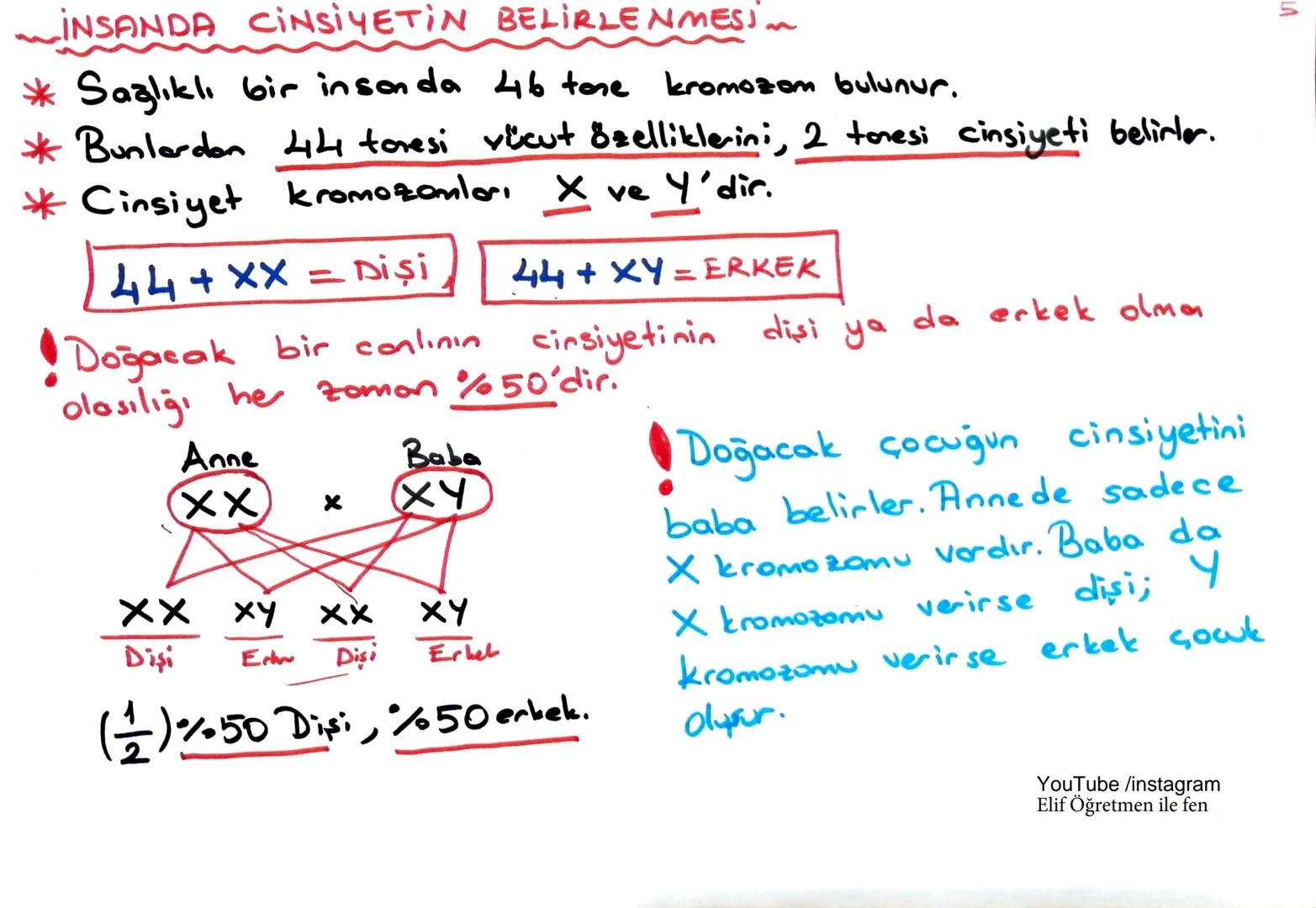 *KALITI3*
1
*Canlıların sahip oldukları Özellikleri sonraki nesillere attormasına
"Kalıtım denir."
YouTube /instagram
Elif Öğretmen ile fen