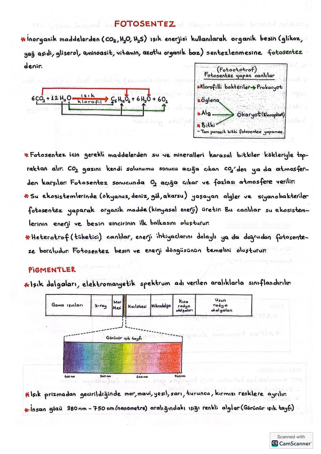 10. Sınıf biyoloji yeni müfredat