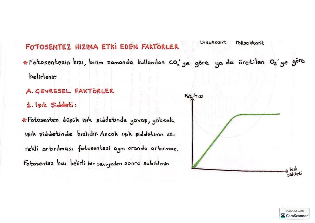 10. Sınıf biyoloji yeni müfredat