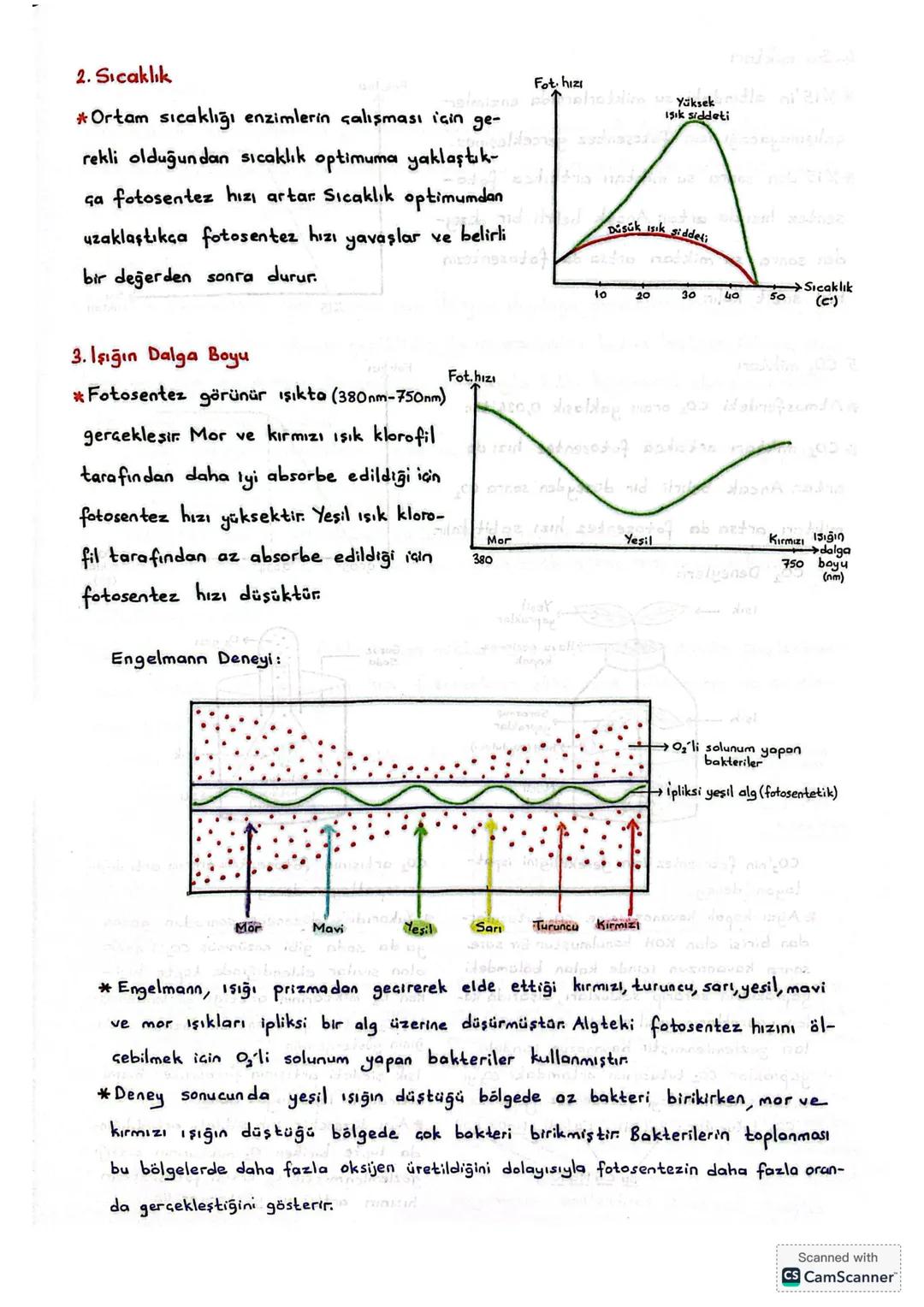 FOTOSENTEZ HIZINA ETKİ EDEN FAKTÖRLER
*Fotosentezin hızı, birım zamanda kullanılan Co₂ ye göre ya da üretilen Oz'ye göre
belirlenir.
A. ÇEV