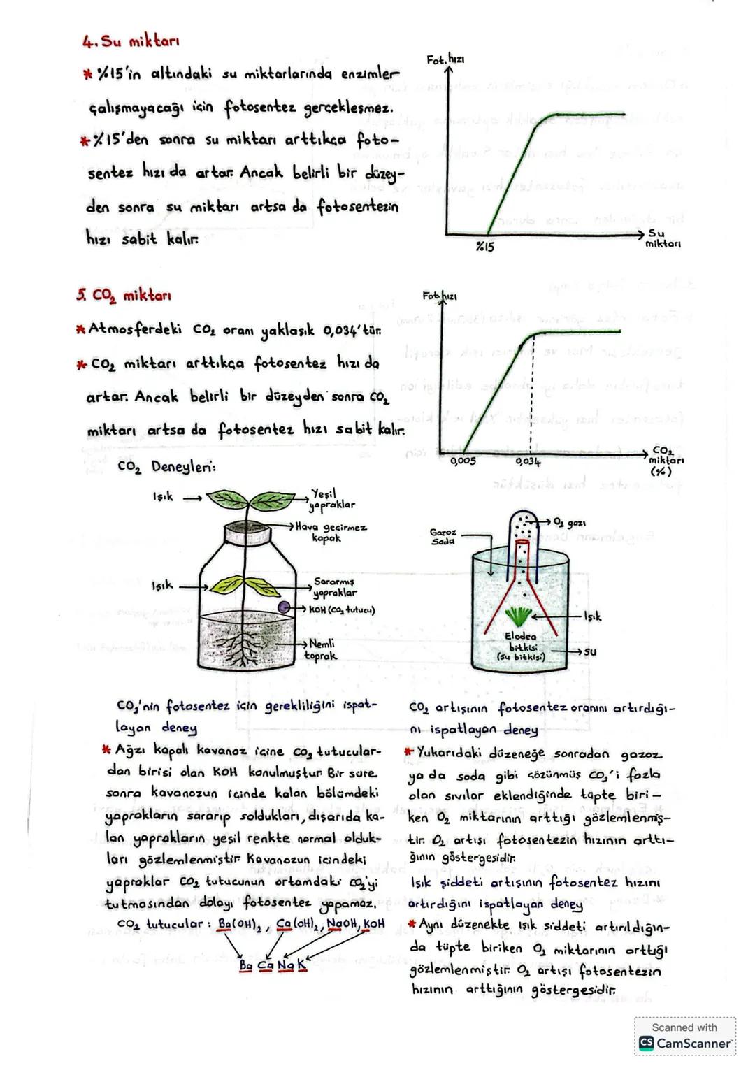 FOTOSENTEZ HIZINA ETKİ EDEN FAKTÖRLER
*Fotosentezin hızı, birım zamanda kullanılan Co₂ ye göre ya da üretilen Oz'ye göre
belirlenir.
A. ÇEV