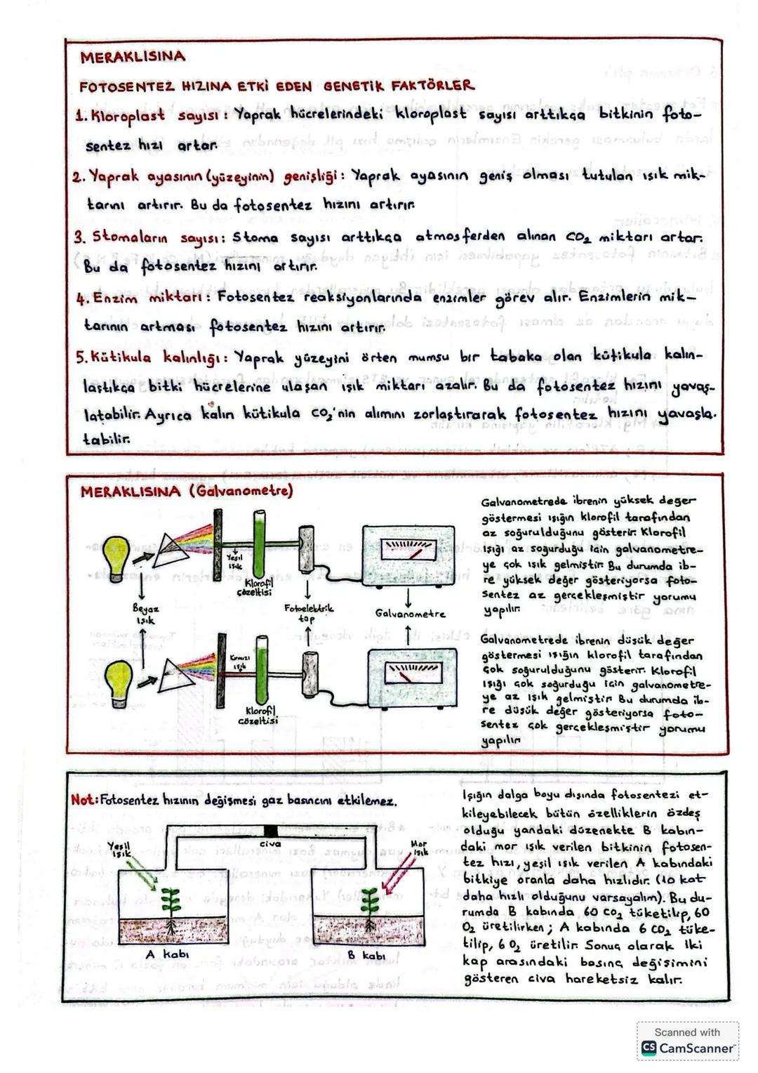 FOTOSENTEZ HIZINA ETKİ EDEN FAKTÖRLER
*Fotosentezin hızı, birım zamanda kullanılan Co₂ ye göre ya da üretilen Oz'ye göre
belirlenir.
A. ÇEV