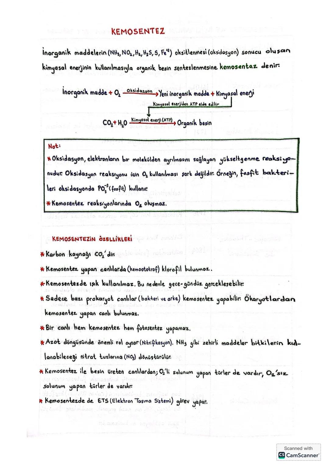 # BİLİM TARİHİNDE FOTOSENTEZ İLE İLGİLİ YAPILAN ÖNEMLİ ÇALIŞMALAR
Van Helmont'ın (Ven Helmint) Çalışması
*Helmont, bir söğüt fidanını ve f