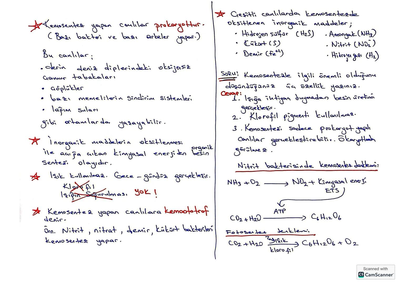 # BİLİM TARİHİNDE FOTOSENTEZ İLE İLGİLİ YAPILAN ÖNEMLİ ÇALIŞMALAR
Van Helmont'ın (Ven Helmint) Çalışması
*Helmont, bir söğüt fidanını ve f