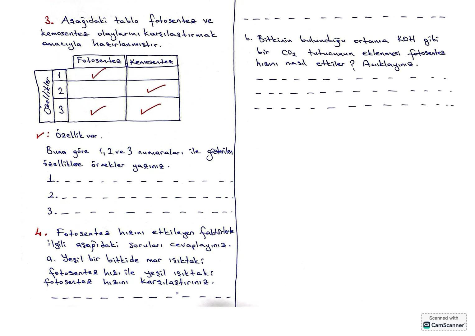 # BİLİM TARİHİNDE FOTOSENTEZ İLE İLGİLİ YAPILAN ÖNEMLİ ÇALIŞMALAR
Van Helmont'ın (Ven Helmint) Çalışması
*Helmont, bir söğüt fidanını ve f