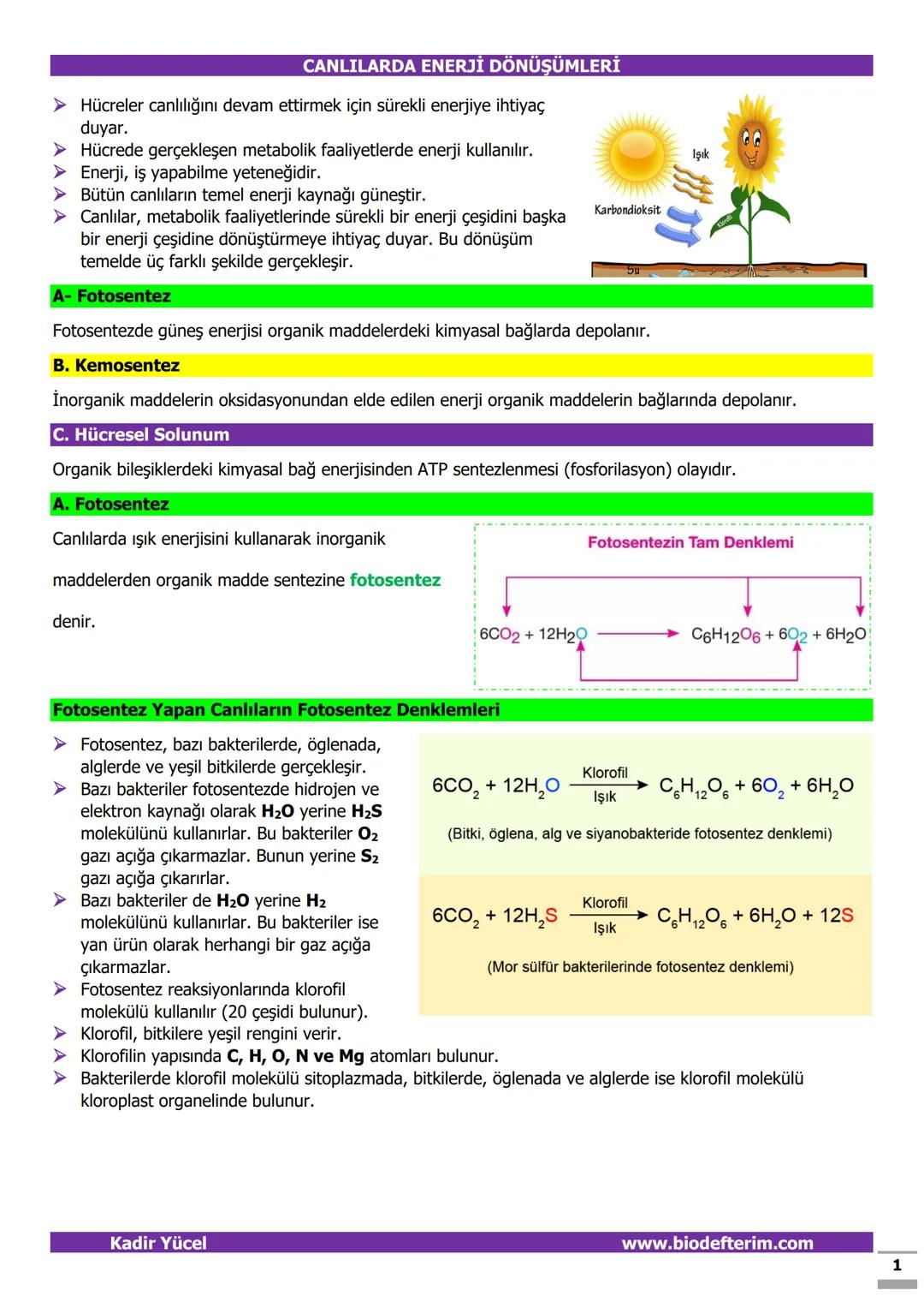 # CANLILARDA ENERJİ DÖNÜŞÜMLERİ
➤ Hücreler canlılığını devam ettirmek için sürekli enerjiye ihtiyaç
duyar.
➤ Hücrede gerçekleşen metabolik