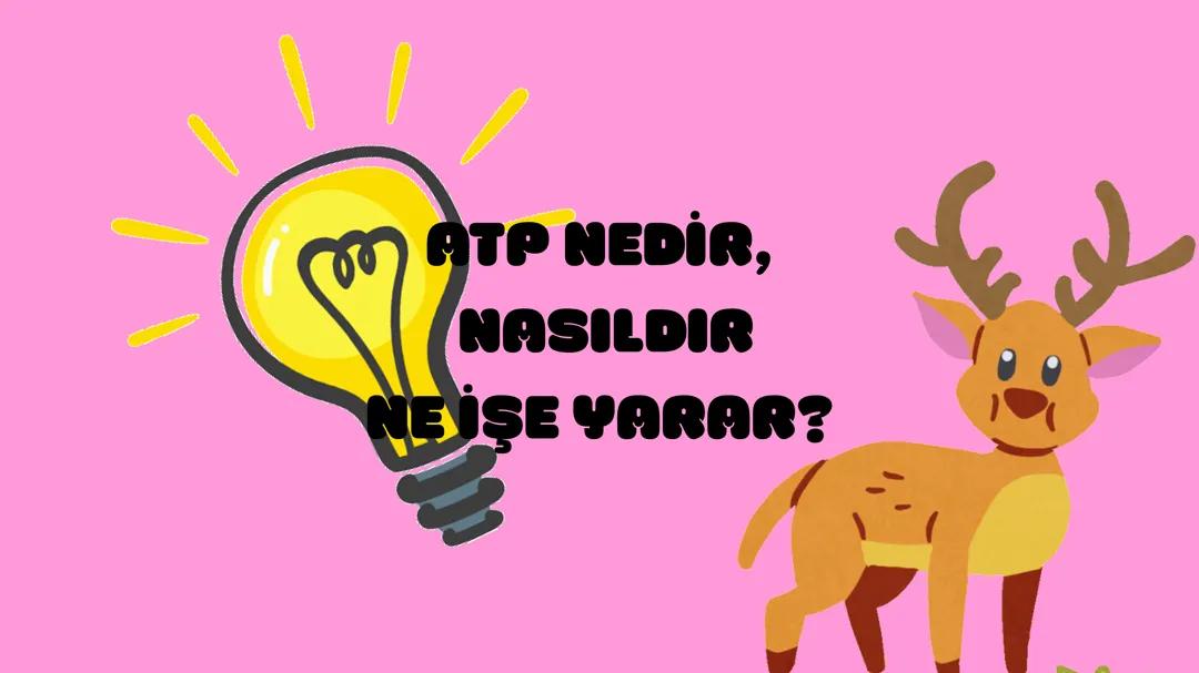Atp özellikleri