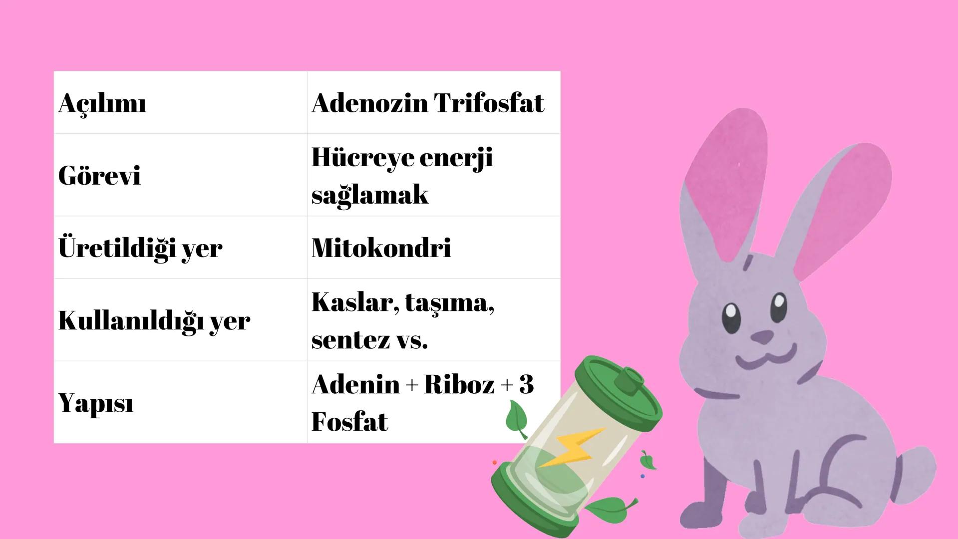 # ATP NEDİR,
# NASILDIR
# NE İŞE YARAR? ATP Nedir?
ATP (Adenozin Trifosfat),
hücrelerin enerji kaynağı
olan bir moleküldür.
Hücre içinde ger