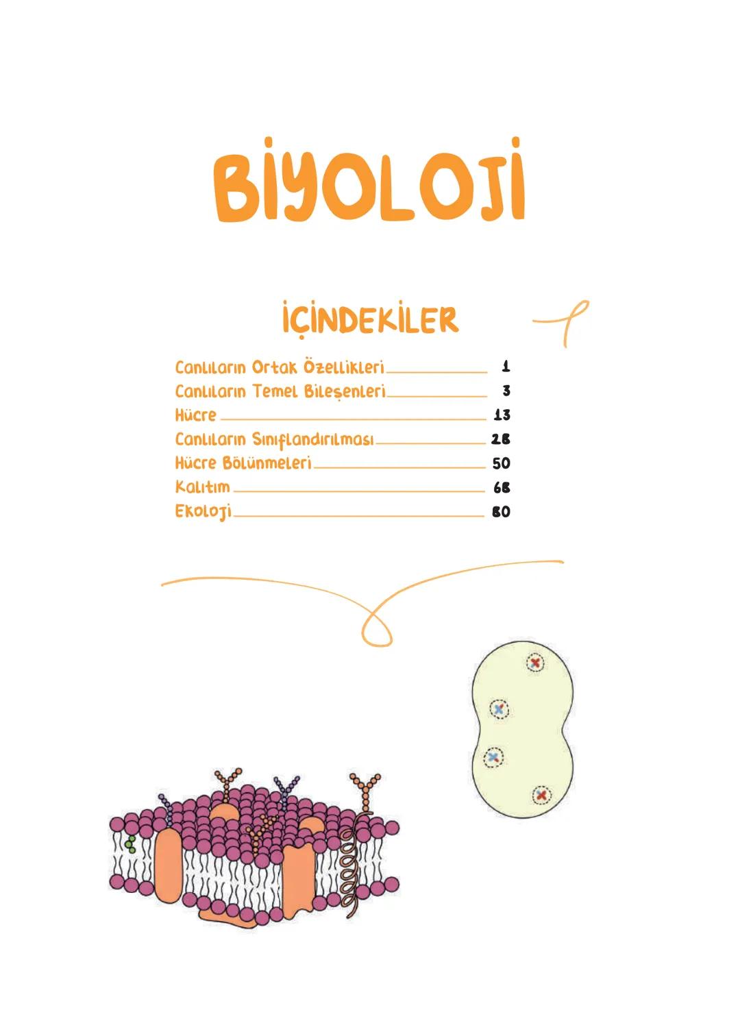 BİYOLOJİ
İÇİNDEKİLER
Canlıların Ortak Özellikleri
1
Canlıların Temel Bileşenleri.
3
Hücre
13
Canlıların Sınıflandırılması.
28
Hücre Bölünm