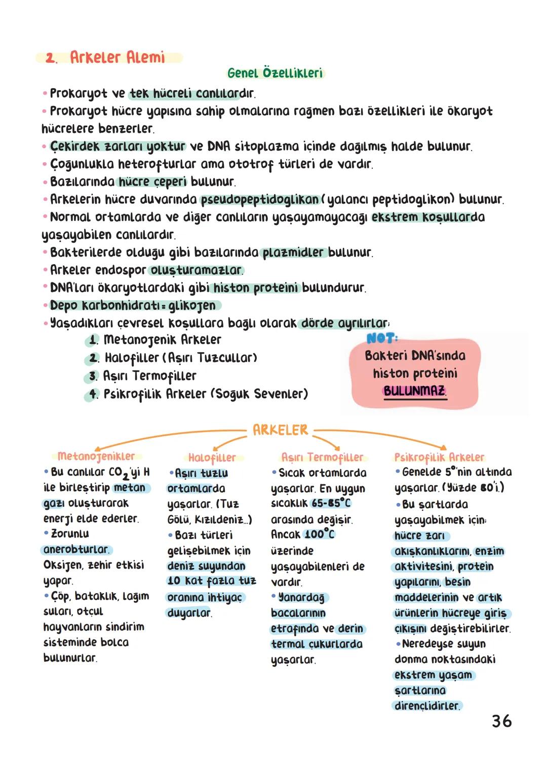 BİYOLOJİ
İÇİNDEKİLER
Canlıların Ortak Özellikleri
1
Canlıların Temel Bileşenleri.
3
Hücre
13
Canlıların Sınıflandırılması.
28
Hücre Bölünm