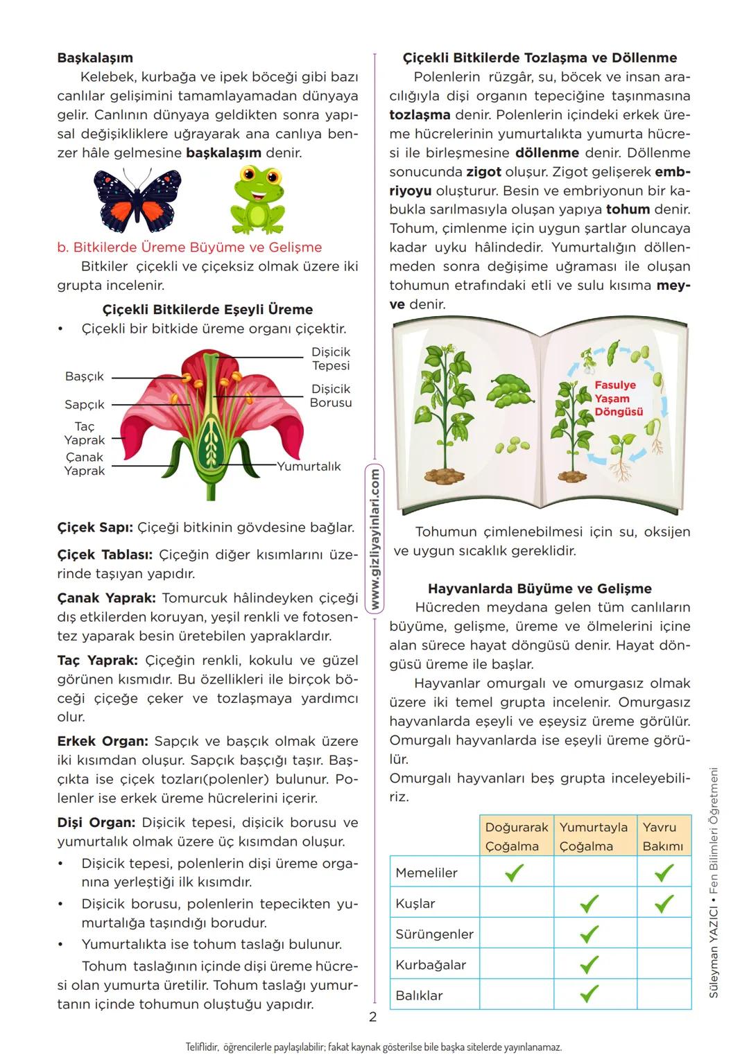 fenburada.com
# CANLILARDA SİSTEMLER
Konu Anlatımı
## A. BİTKİ VE HAYVANLARDA ÜREME,
BÜYÜME VE GELİŞME
Canlılarda üreme eşeysiz ve eşeyl