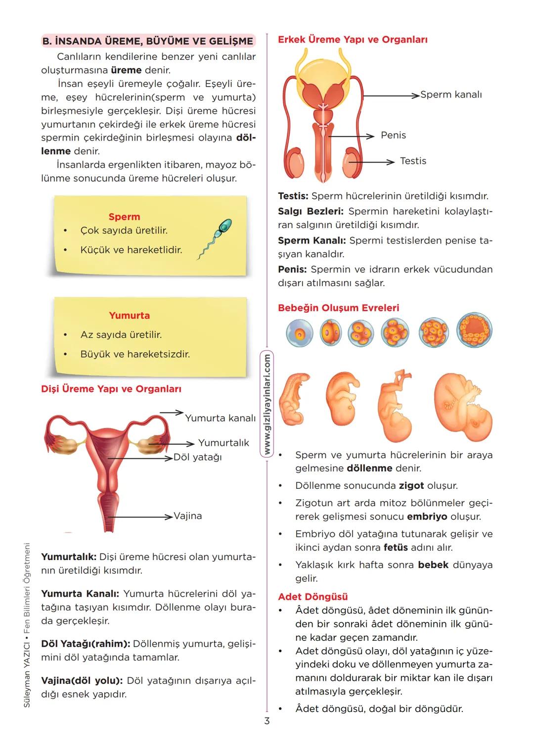 fenburada.com
# CANLILARDA SİSTEMLER
Konu Anlatımı
## A. BİTKİ VE HAYVANLARDA ÜREME,
BÜYÜME VE GELİŞME
Canlılarda üreme eşeysiz ve eşeyl