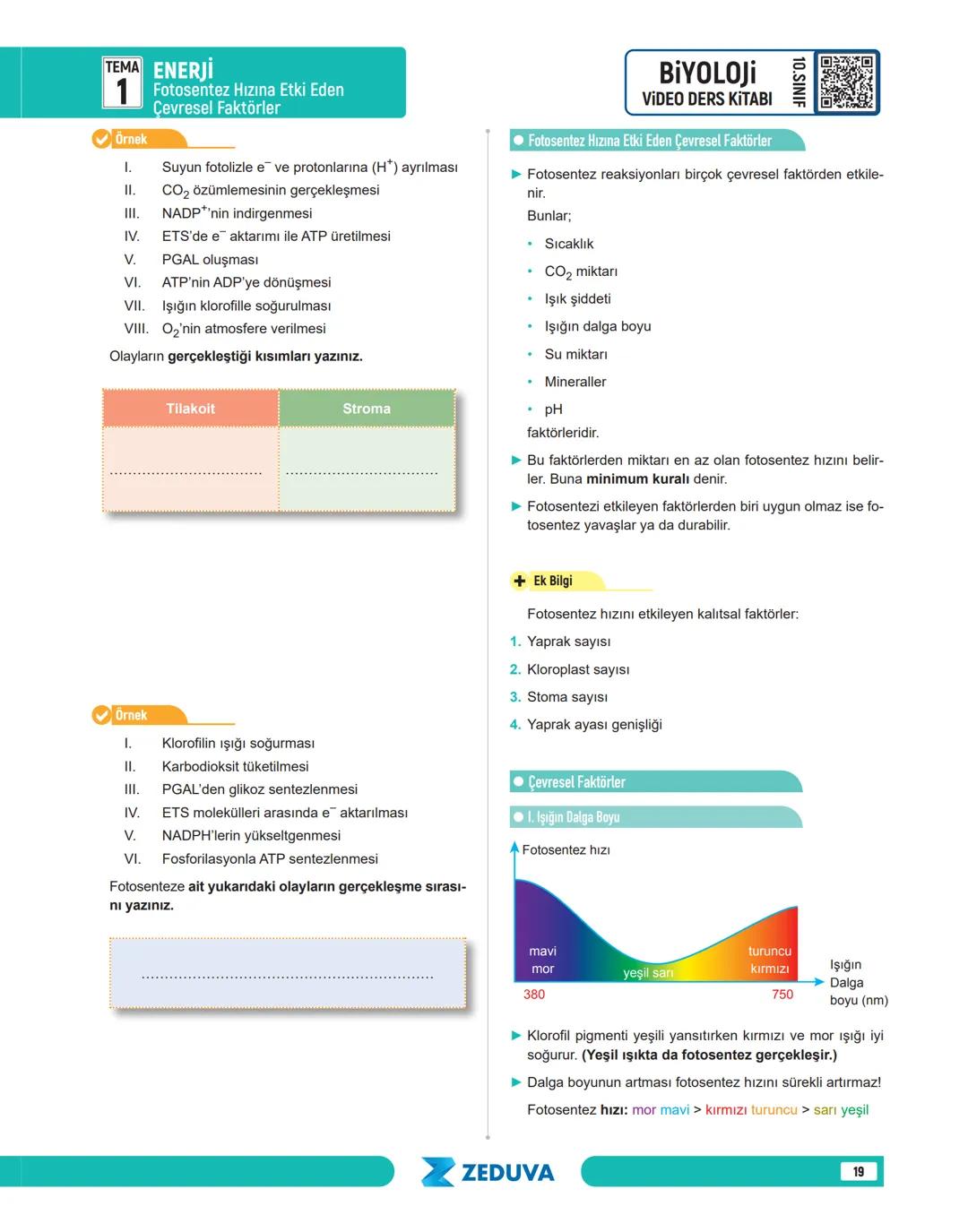 # TEMA ENERJİ
1
# ENERJİ
## Öğretmenin Notları
Bu temada
► Canlıların yaşamına devam edebilmesi için enerjinin gerekliliği
► Canlılar i