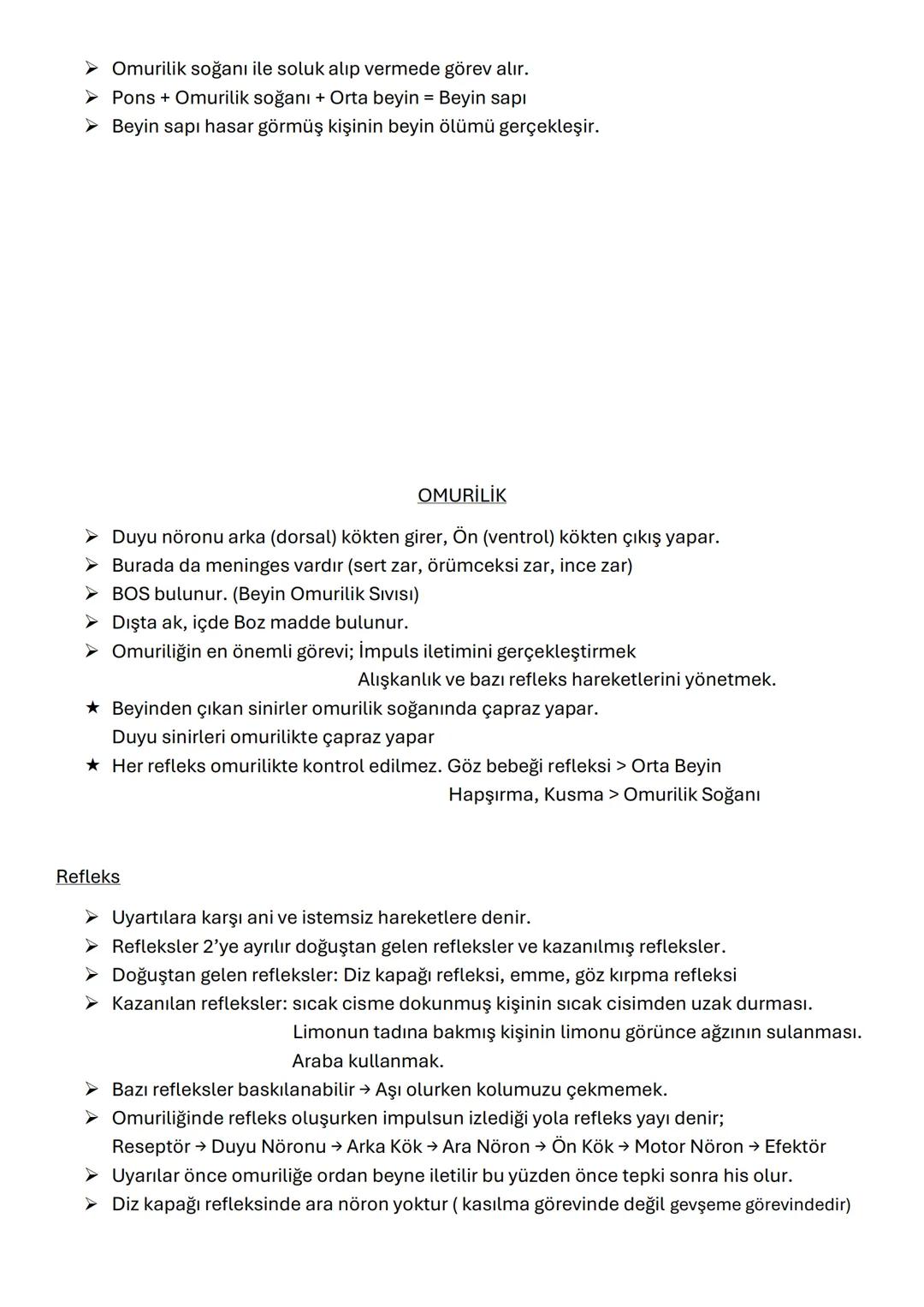 # SİNİR SİSTEMİ
➤ Sinir sisteminin temel organları, beyin ve omuriliktir
➤ Sinir sistemi sinir dokudan, sinir dokuda sinir hücresinden (nör