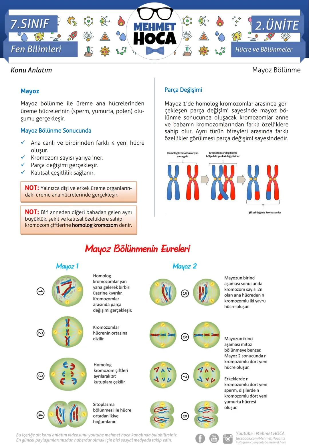 # 7.SINIF
Fen Bilimleri
Konu Anlatım
Mayoz
MEHMET
HOCA
Mayoz bölünme ile üreme ana hücrelerinden
üreme hücrelerinin (sperm, yumurta, po