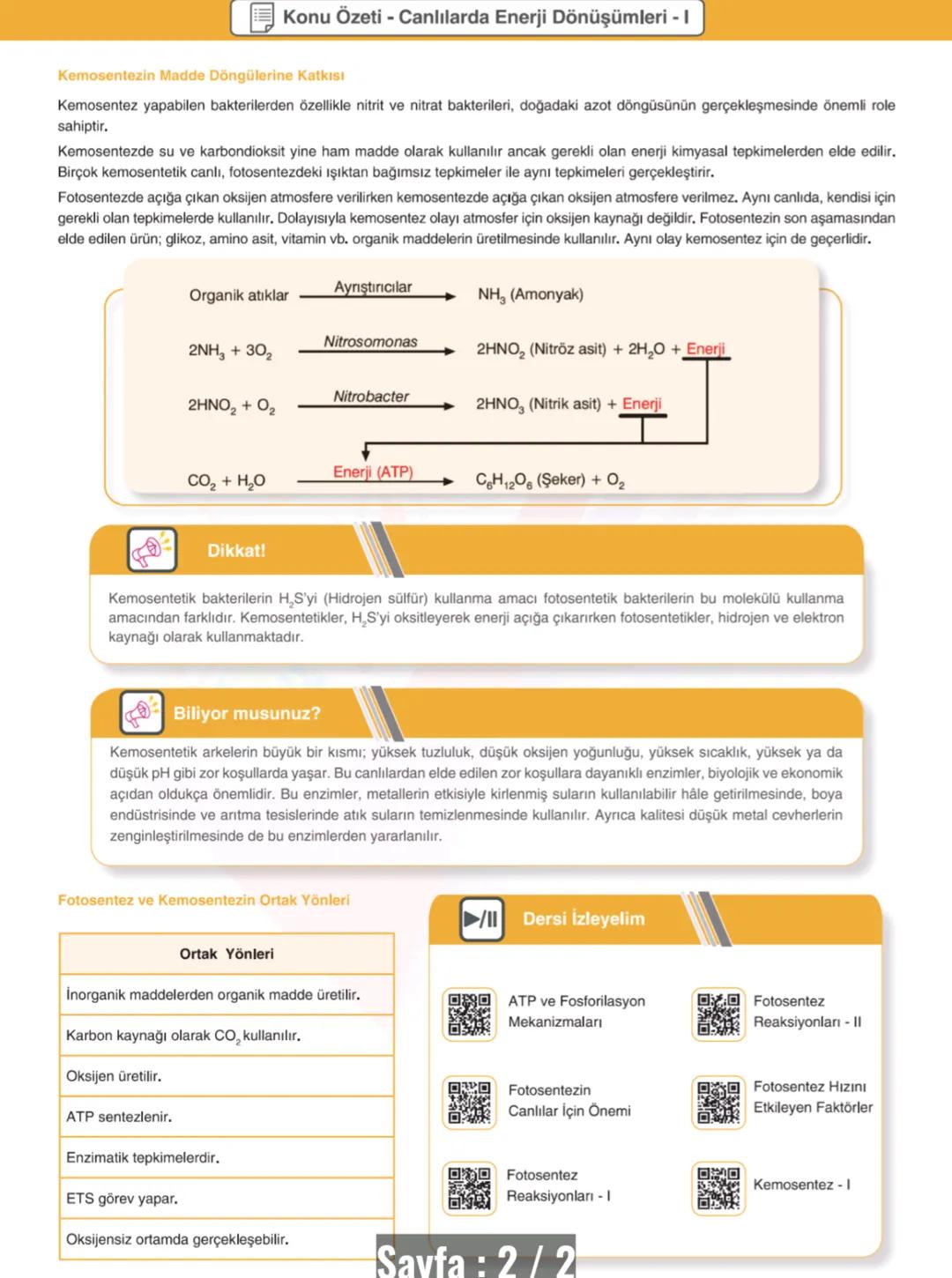 # CANLILIK VE ENERJİ
Enerji, iş yapabilme yeteneğidir. Tabiatta enerji; ısı, ışık, hareket, nükleer ve kimyasal bağ enerjisi şeklinde bulun