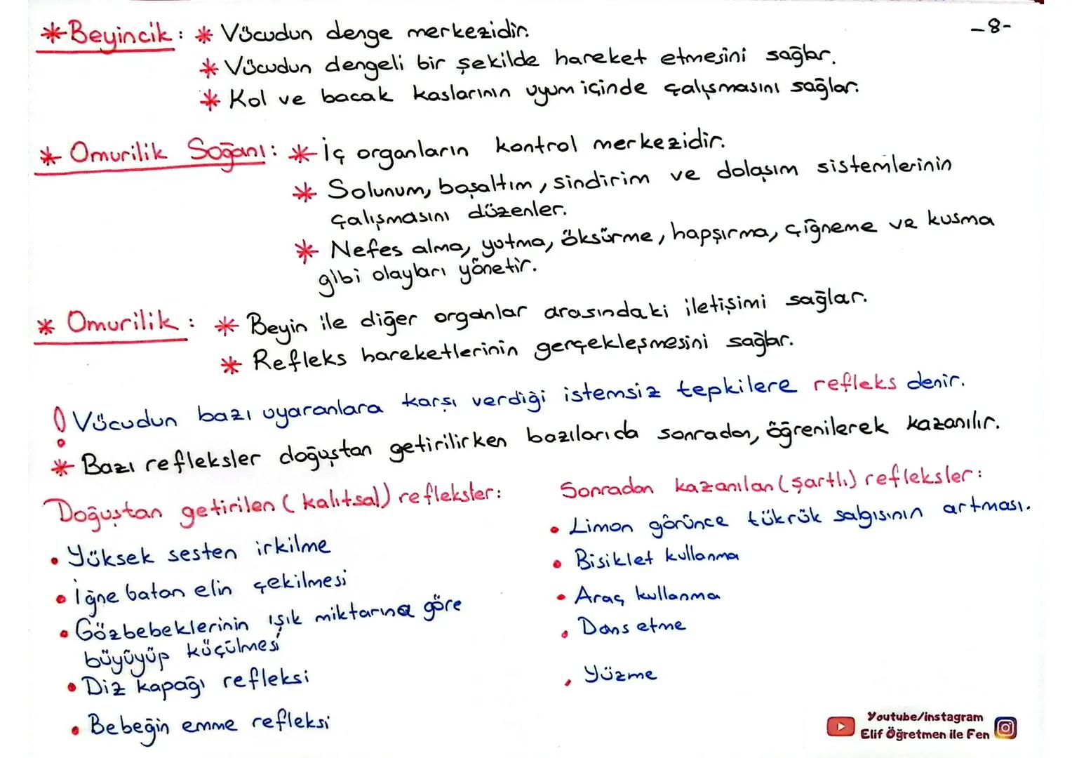 6.SINIF 3. ÜNİTE : CANLILARDA SİSTEMLER
1.Bölüm: BİTKİ VE HAYVANLARDA ÜREME, BÜYÜME VE GELİŞME
* Canlılarda üreme, eşeyli üreme ve eşeysiz