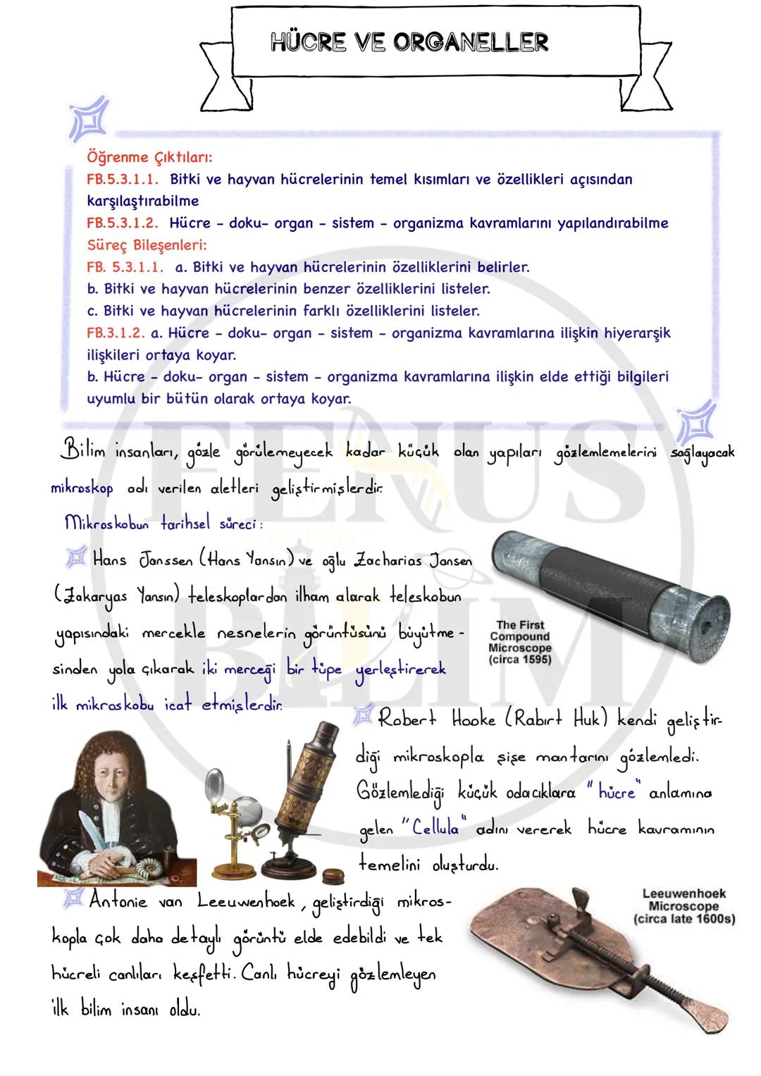 # HÜCRE VE ORGANELLER
Öğrenme Çıktıları:
FB.5.3.1.1. Bitki ve hayvan hücrelerinin temel kısımları ve özellikleri açısından
karşılaştırabilm