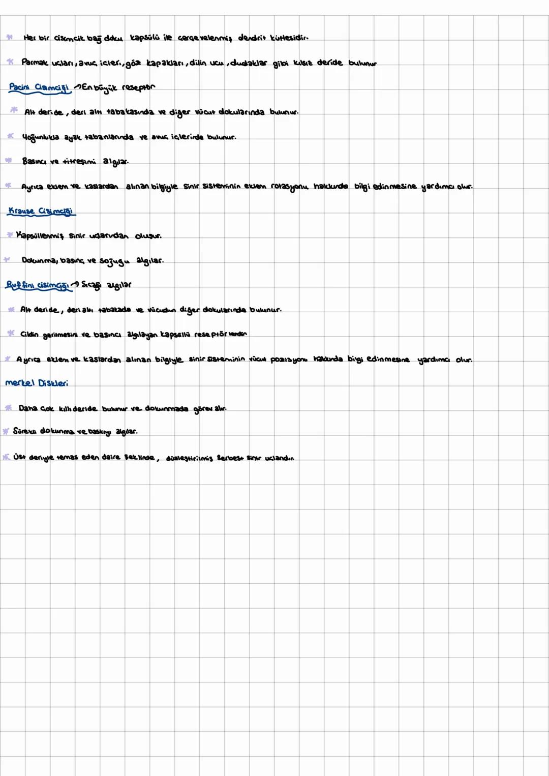 YAPISI:
Dermis
(Aut deri
Adamarters
DERI
Üst Deri (Epidermis)
* Örtu epitelinden oluşur. Çok tabakali epitelden oluşmuştur.
* Kan damarla