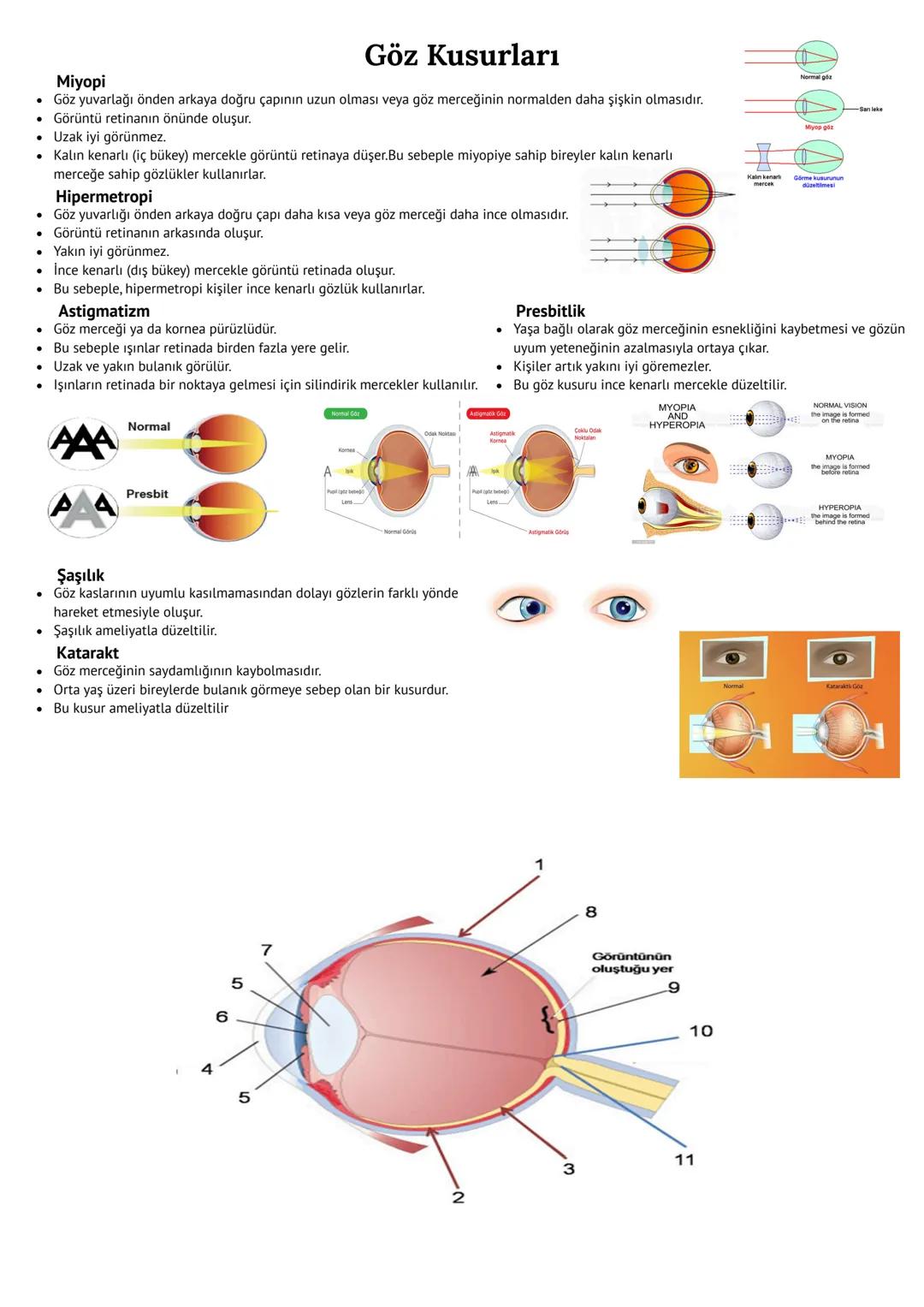 # Duyu Organları
* Duyu Reseptörleri (Almaç)
* Çevredeki veya vücut içindeki değişimleri algılayabilen yapılara Duyu reseptörleri (