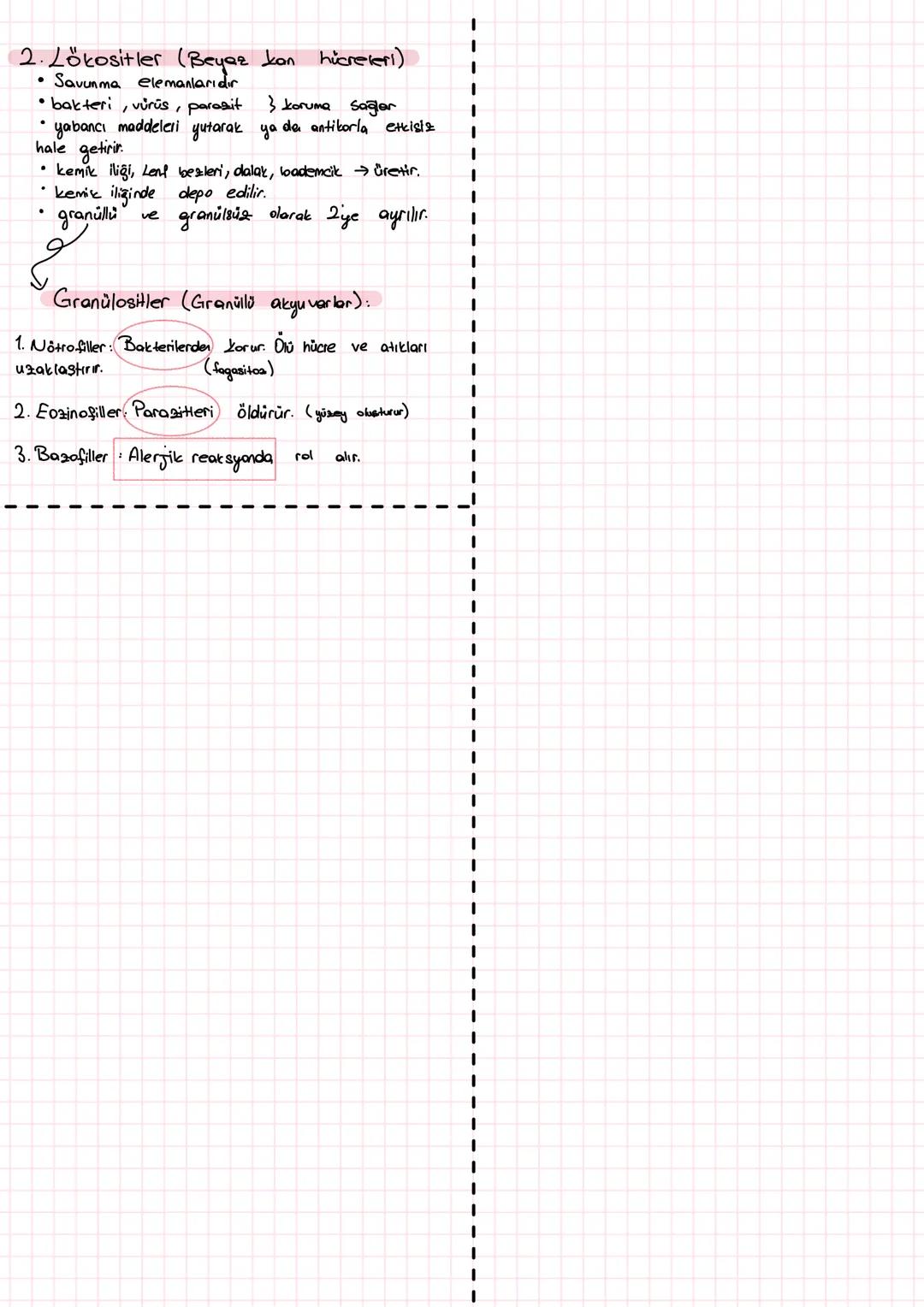# 子叶菇♡ # HÜCRE
insan vucudu. Ovum + sperm"
hücreler insan vucudunda gözükmeyek kadar küçük.
çok sayıda organel, sitoplazma, plazma membranı