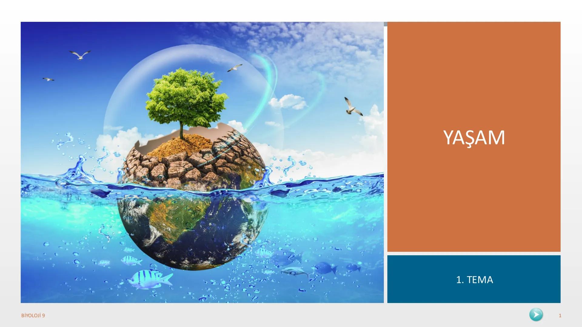 YAŞAM
1. TEMA
BİYOLOJİ 9
1 1. TEMA YAŞAM
1.1. BİYOLOJİNİN ÖNEMİ VE BİYOLOJİDEKİ DÖNÜM NOKTALARININ İNSAN HAYATINA KATKILARI
1.2. BİLİM,
