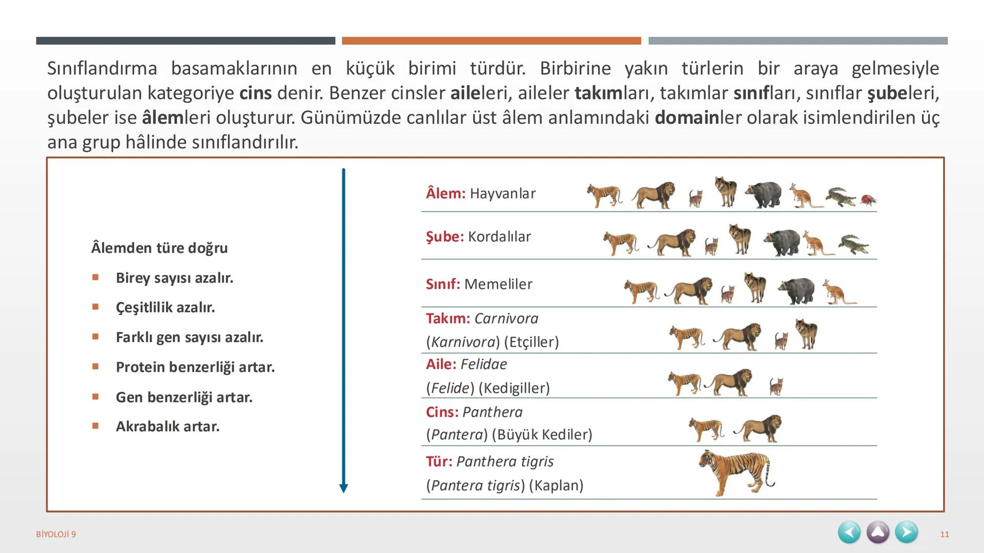 YAŞAM
1. TEMA
BİYOLOJİ 9
1 1. TEMA YAŞAM
1.1. BİYOLOJİNİN ÖNEMİ VE BİYOLOJİDEKİ DÖNÜM NOKTALARININ İNSAN HAYATINA KATKILARI
1.2. BİLİM,