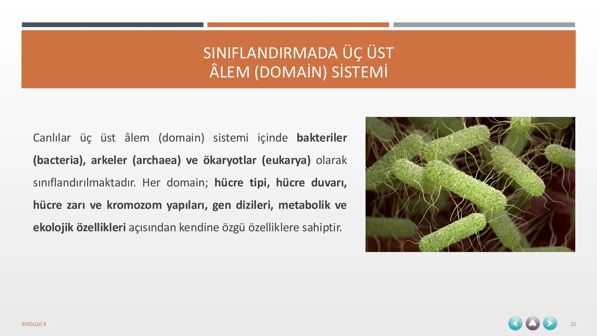 YAŞAM
1. TEMA
BİYOLOJİ 9
1 1. TEMA YAŞAM
1.1. BİYOLOJİNİN ÖNEMİ VE BİYOLOJİDEKİ DÖNÜM NOKTALARININ İNSAN HAYATINA KATKILARI
1.2. BİLİM,