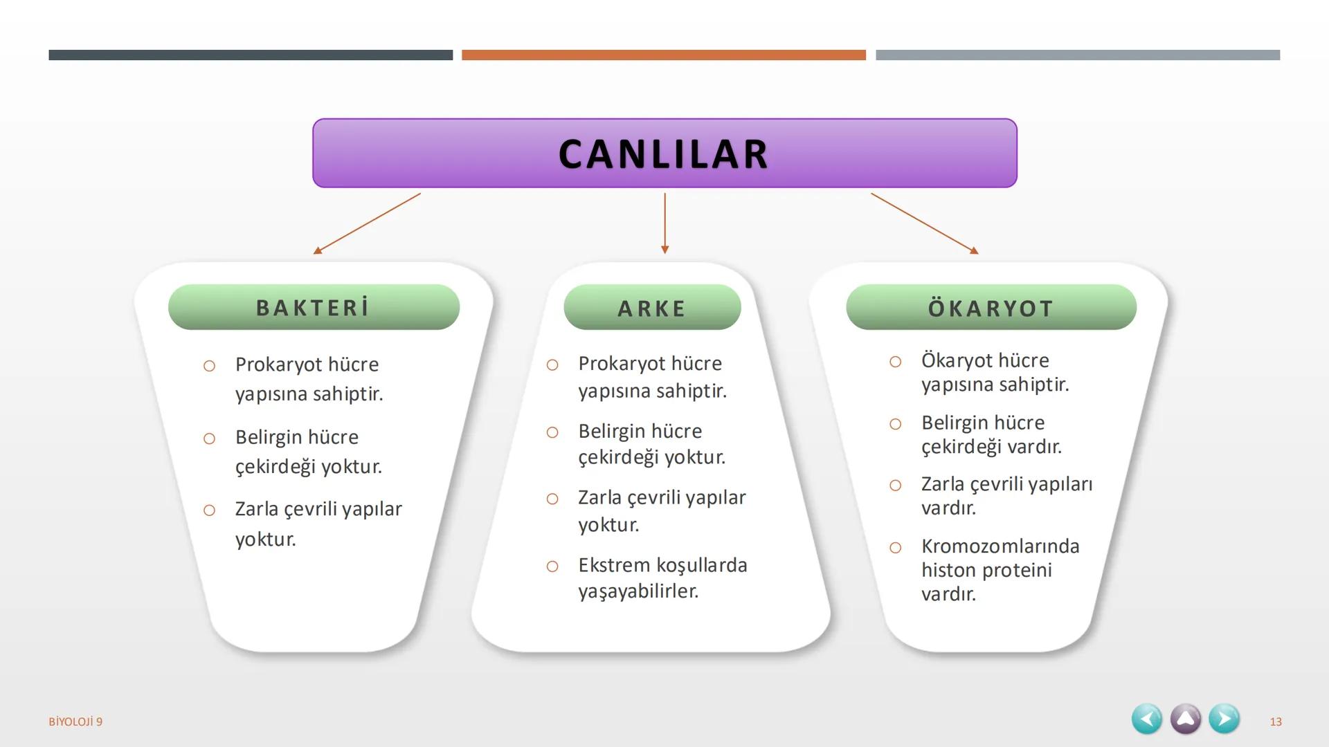 YAŞAM
1. TEMA
BİYOLOJİ 9
1 1. TEMA YAŞAM
1.1. BİYOLOJİNİN ÖNEMİ VE BİYOLOJİDEKİ DÖNÜM NOKTALARININ İNSAN HAYATINA KATKILARI
1.2. BİLİM,