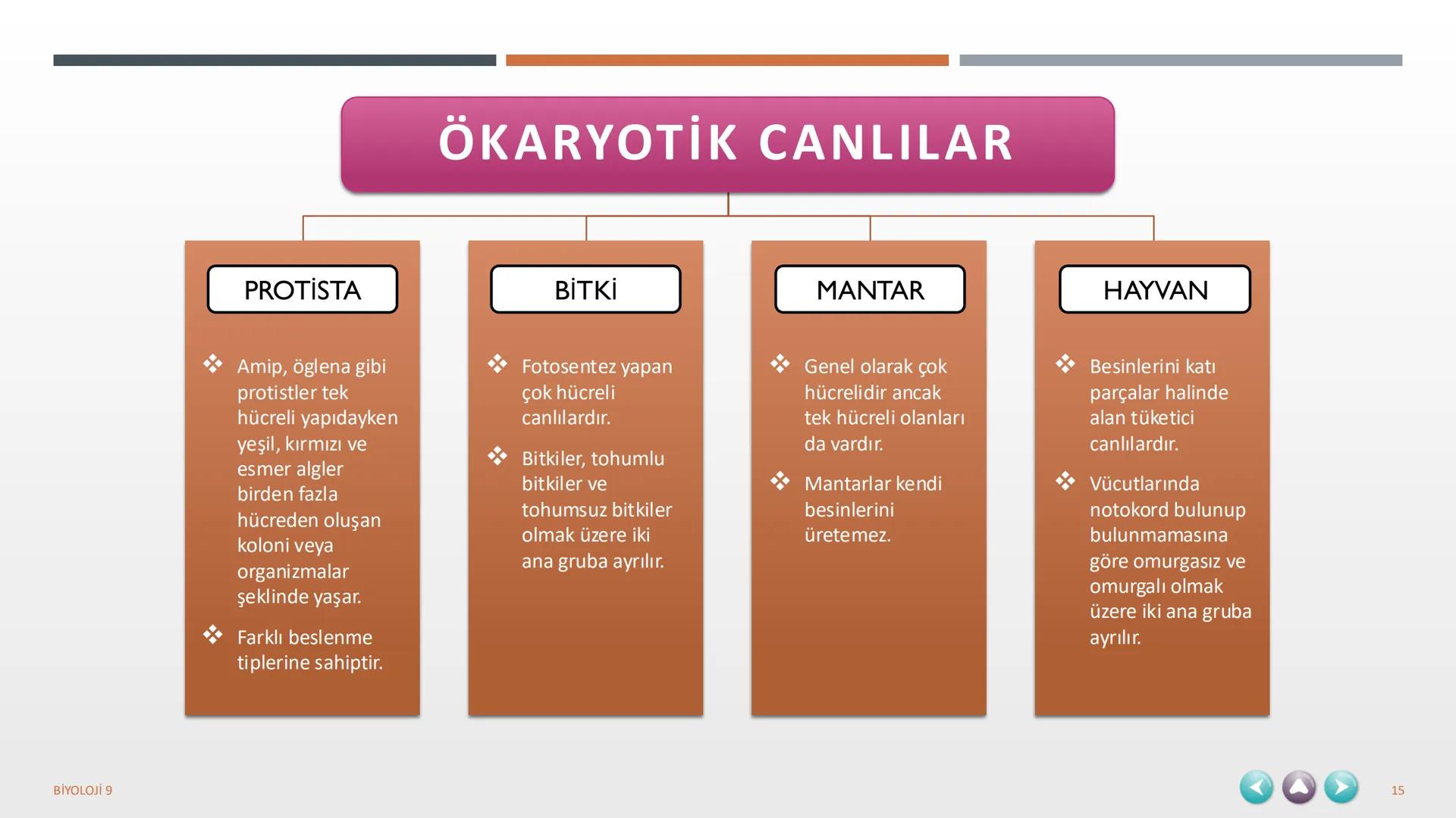 YAŞAM
1. TEMA
BİYOLOJİ 9
1 1. TEMA YAŞAM
1.1. BİYOLOJİNİN ÖNEMİ VE BİYOLOJİDEKİ DÖNÜM NOKTALARININ İNSAN HAYATINA KATKILARI
1.2. BİLİM,