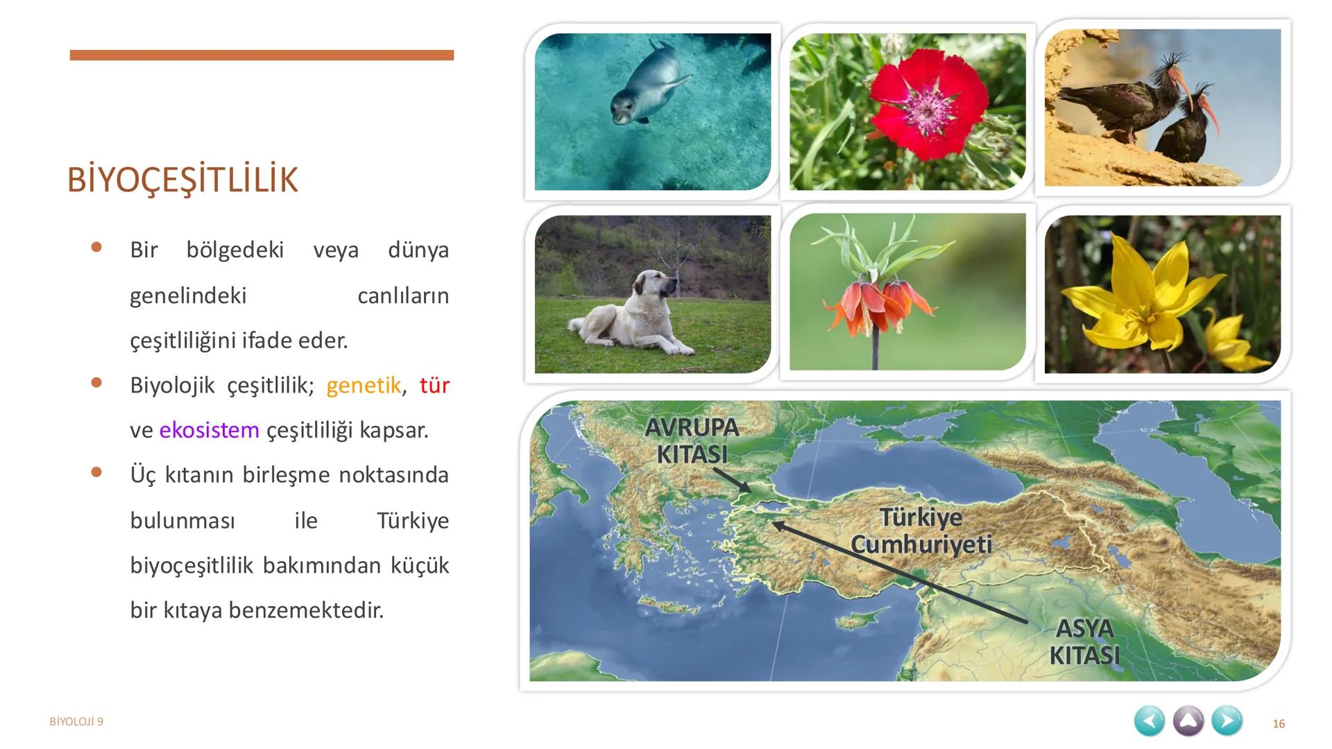 YAŞAM
1. TEMA
BİYOLOJİ 9
1 1. TEMA YAŞAM
1.1. BİYOLOJİNİN ÖNEMİ VE BİYOLOJİDEKİ DÖNÜM NOKTALARININ İNSAN HAYATINA KATKILARI
1.2. BİLİM,