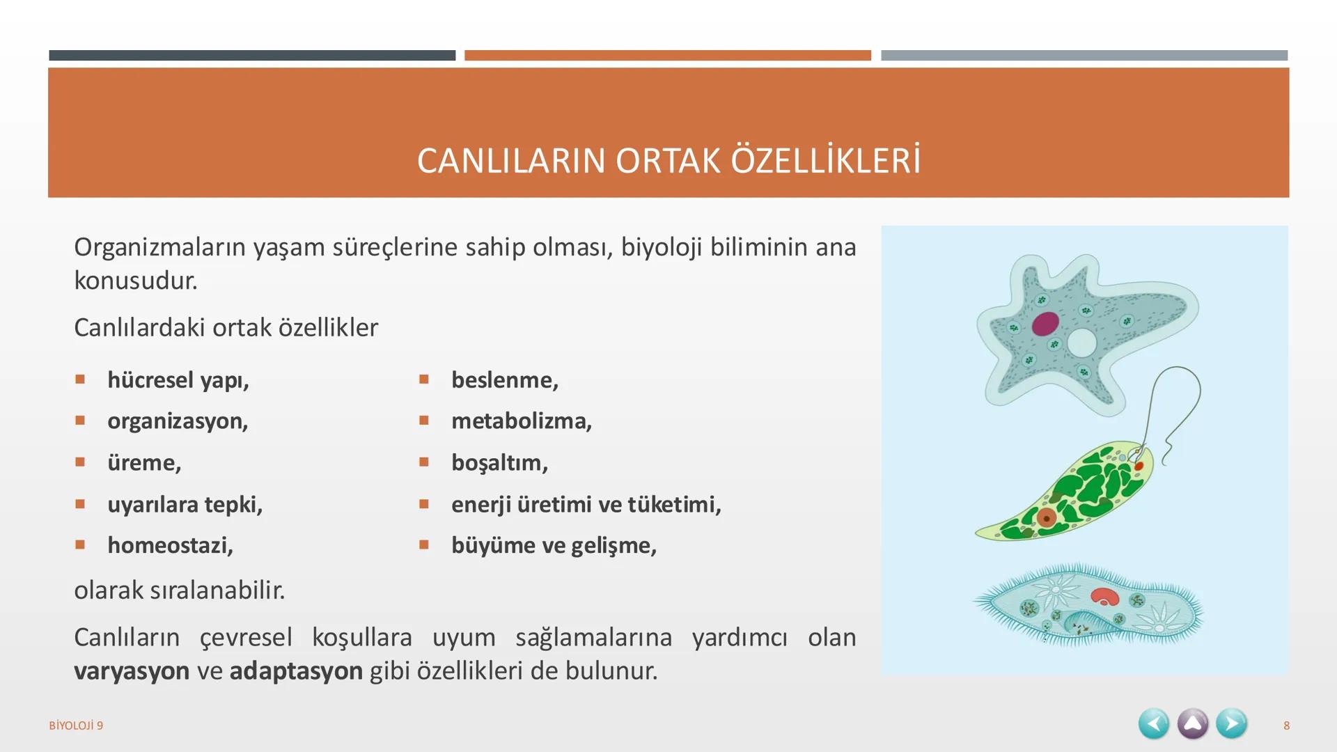 YAŞAM
1. TEMA
BİYOLOJİ 9
1 1. TEMA YAŞAM
1.1. BİYOLOJİNİN ÖNEMİ VE BİYOLOJİDEKİ DÖNÜM NOKTALARININ İNSAN HAYATINA KATKILARI
1.2. BİLİM,