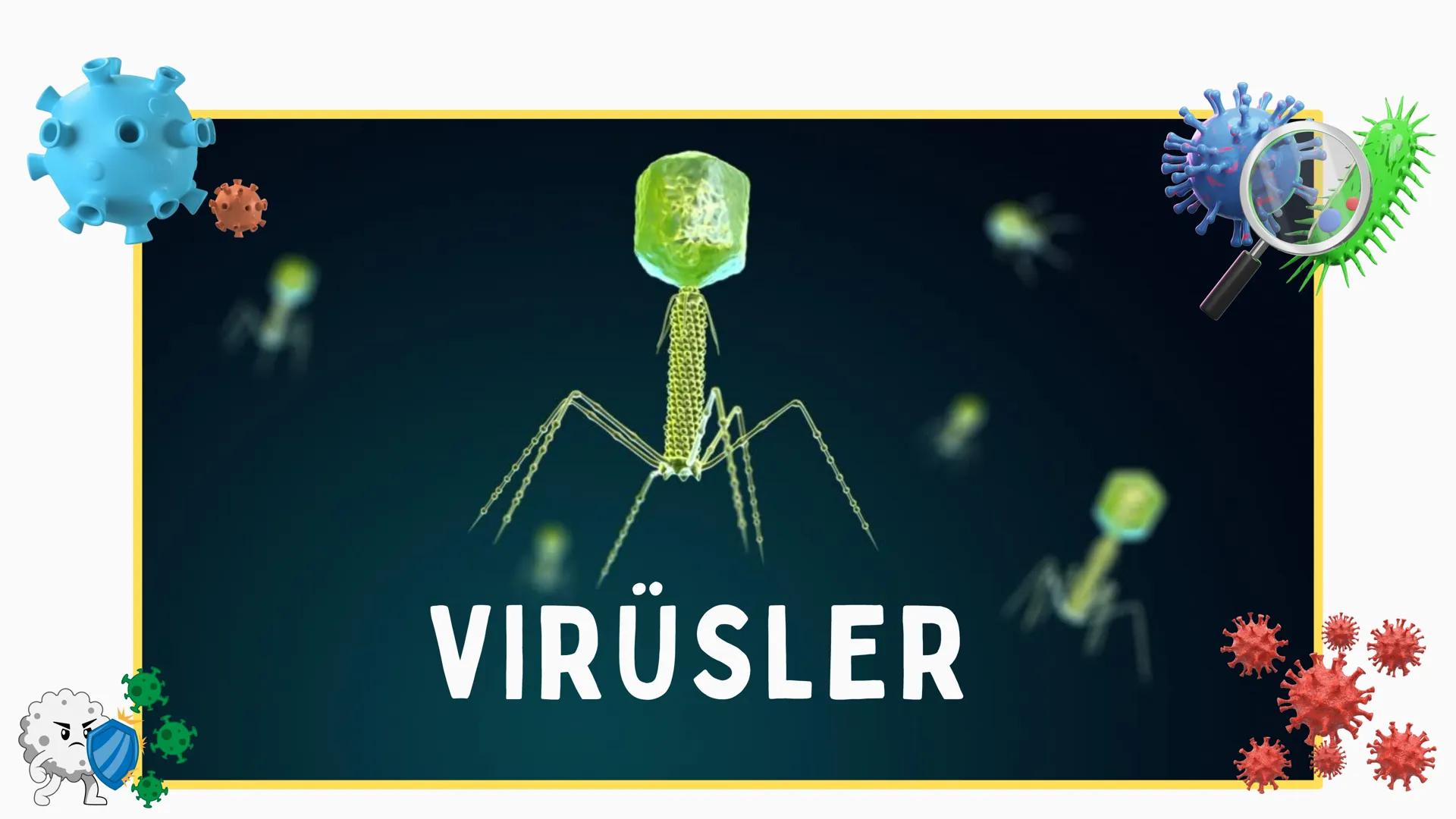 # VİRÜSLER # VIRÜSLER
+
* Latince "zehir" anlamına gelen virüslerin
canlı mı cansız mı olduğu tartışma
konusudur.
* Virüsler